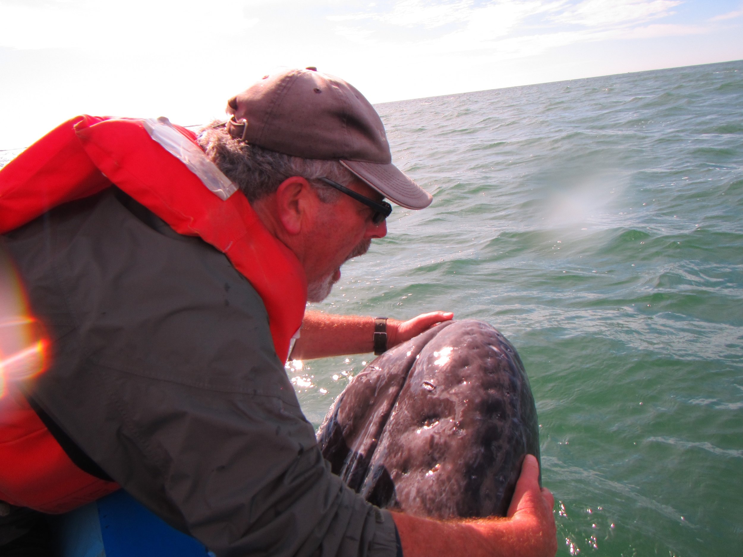 DW & Gray Whale.JPG