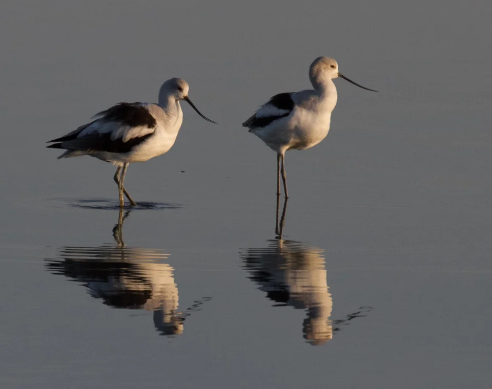 David Wimpfheimer Fall 2017-4 2.jpg