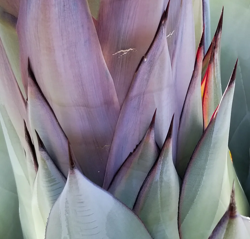20180328_085941.jpg