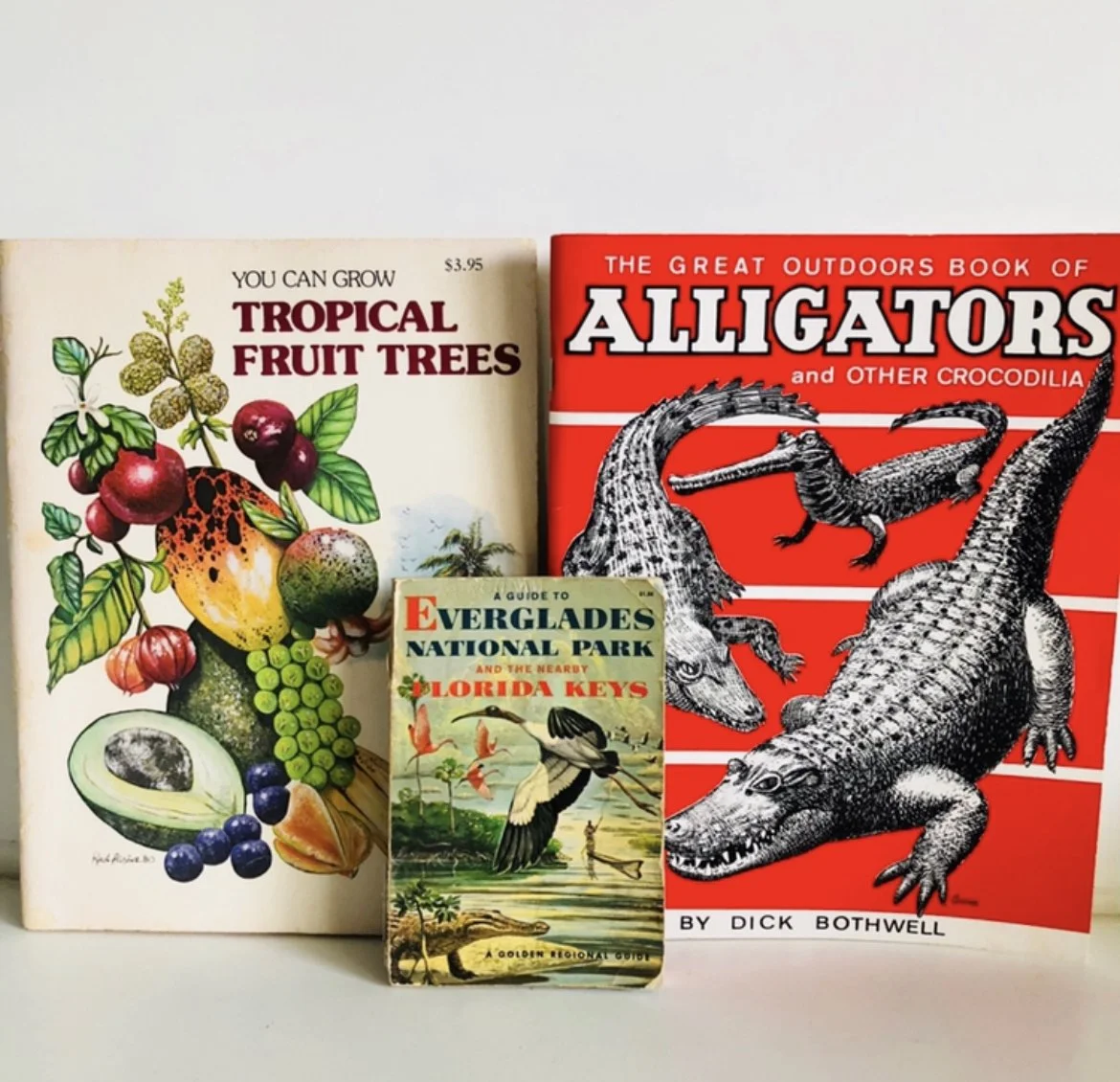 Trio Vintage Florida Books