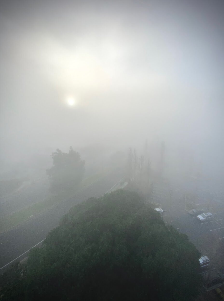 ea-foggy-2.jpg