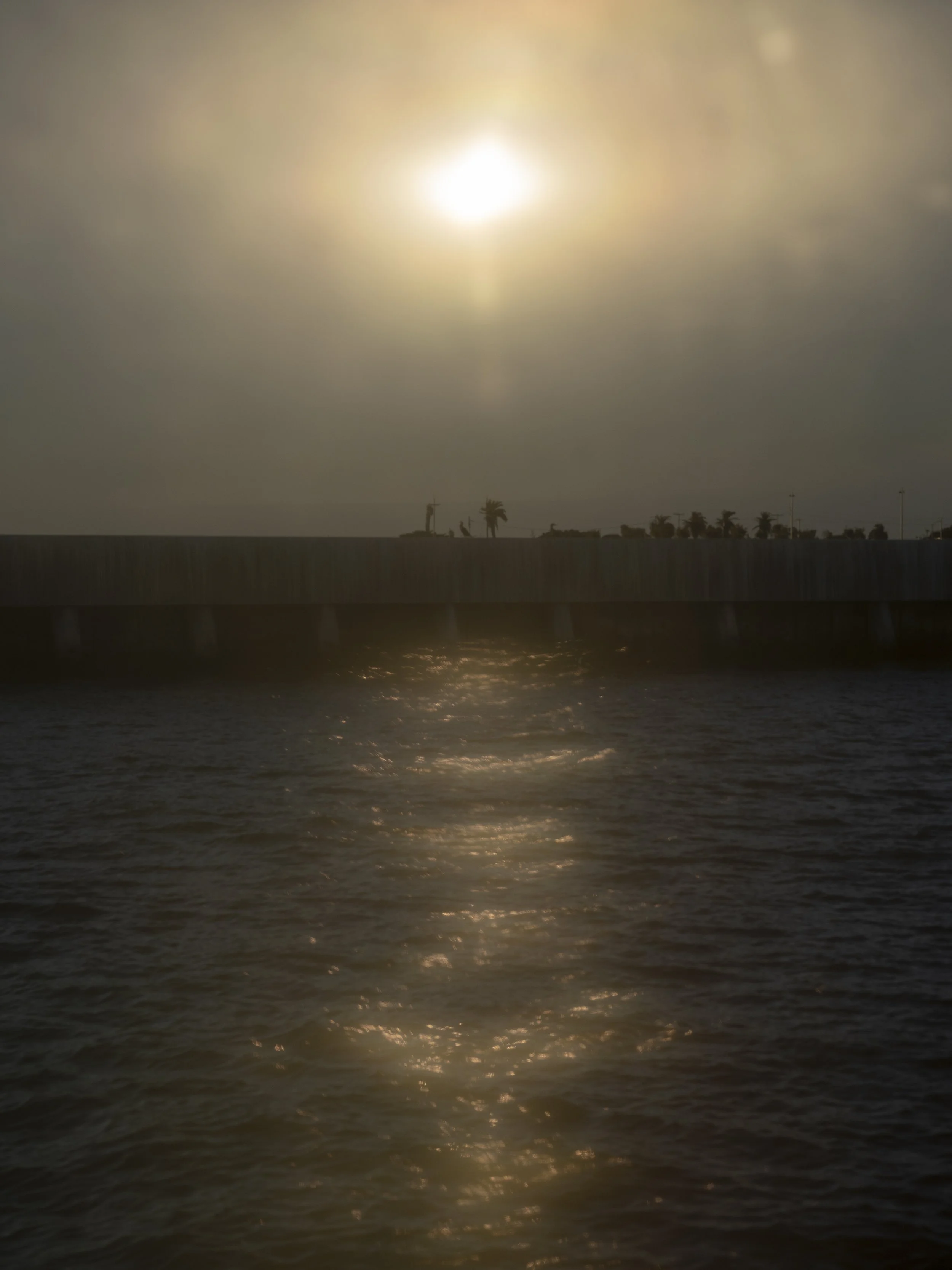 Treasure Is Land-40.jpg