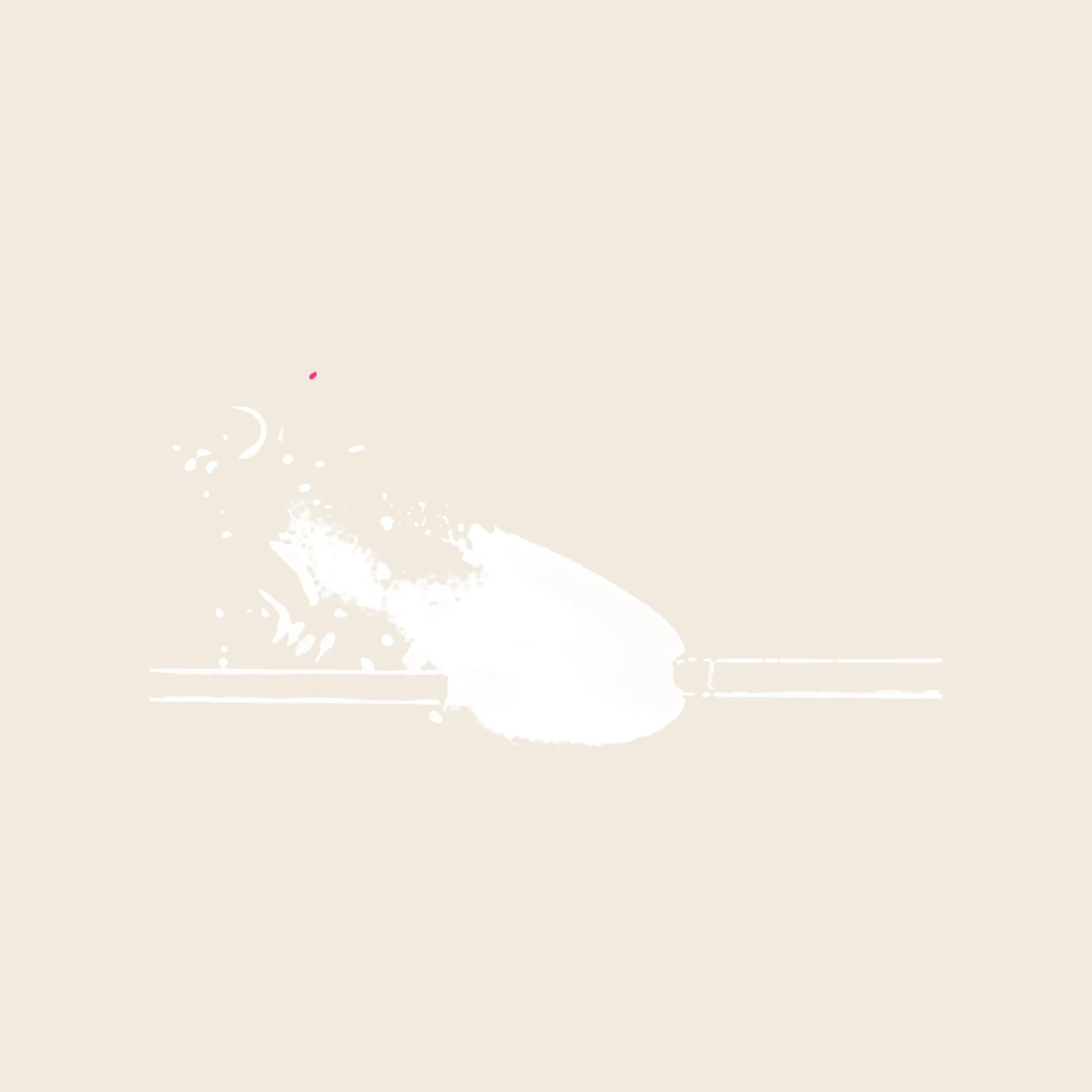 1 designLARC MATCH STRIKE WHT on IV LOGO.jpg