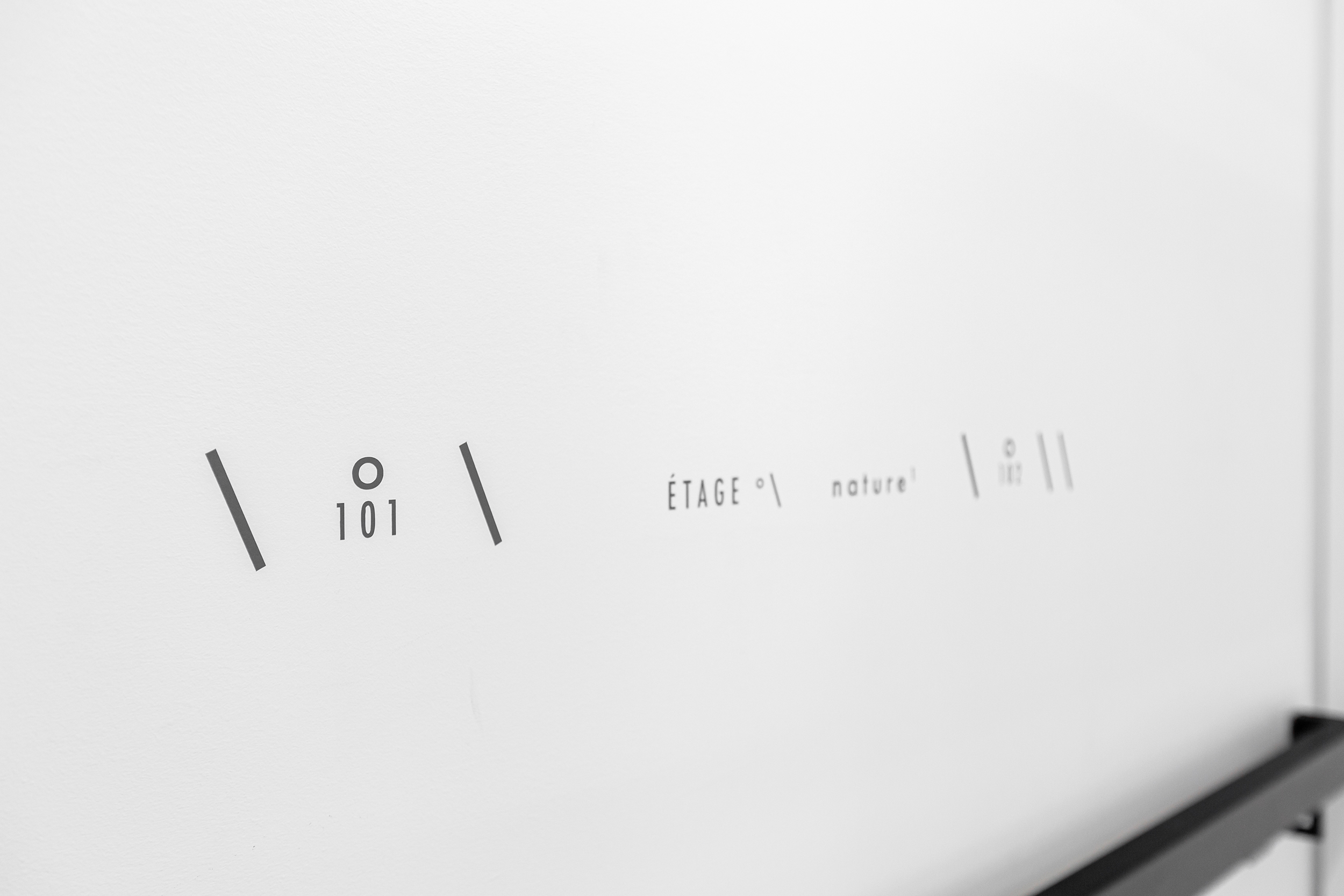 SATUR DAY NIGHT SPECIAL design ageency LECINC Nature.png