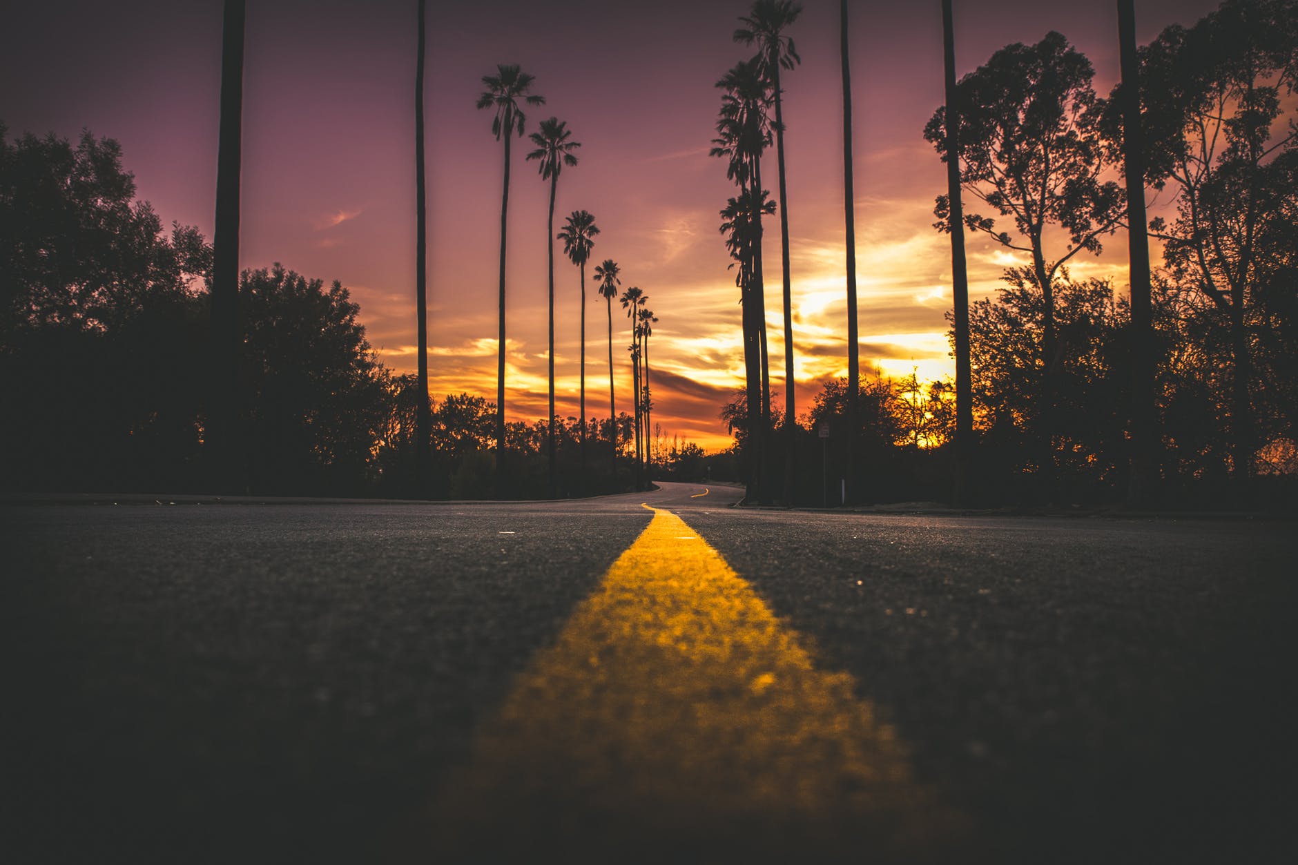 road.jpeg