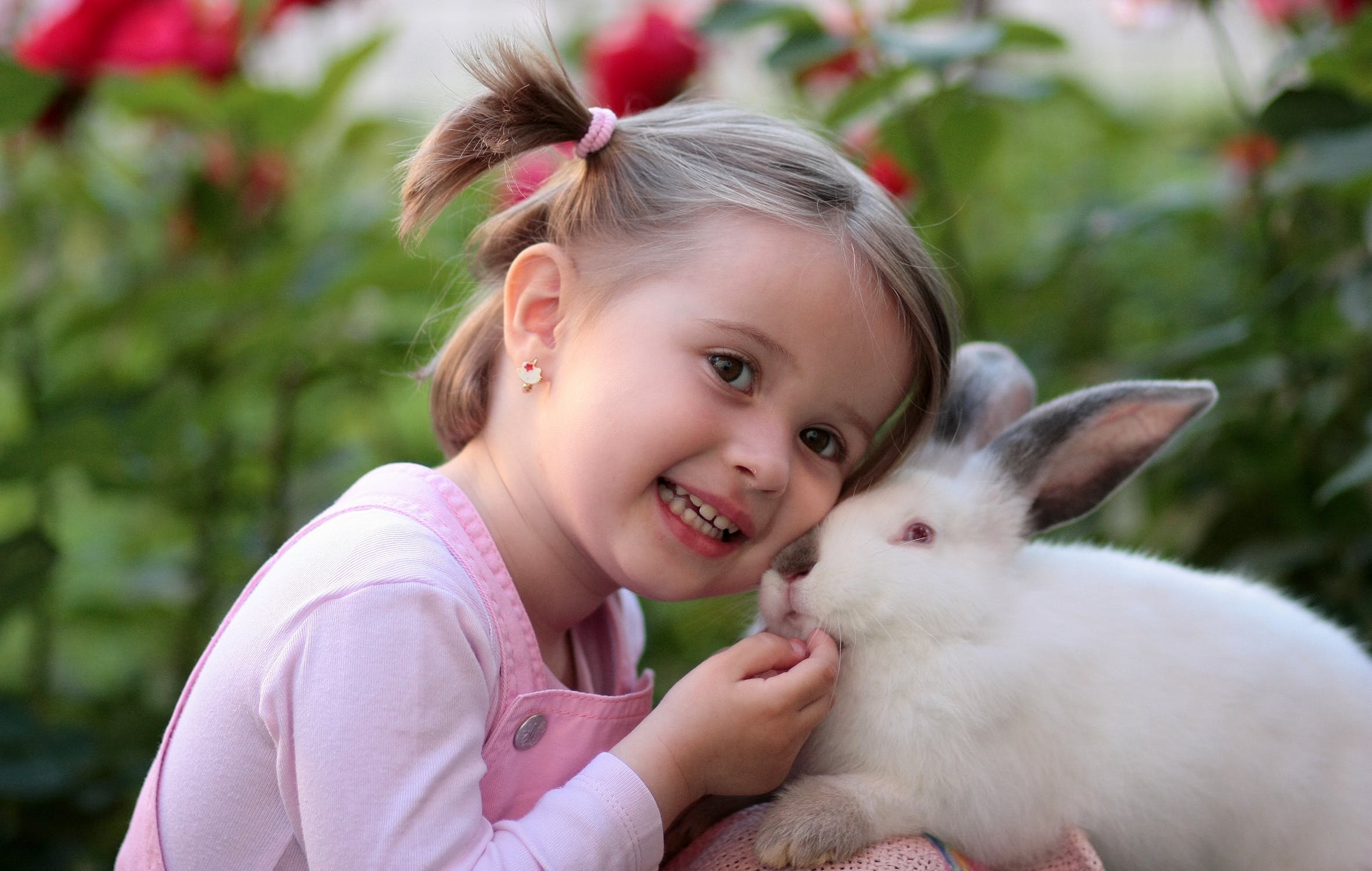 Bunny.jpeg