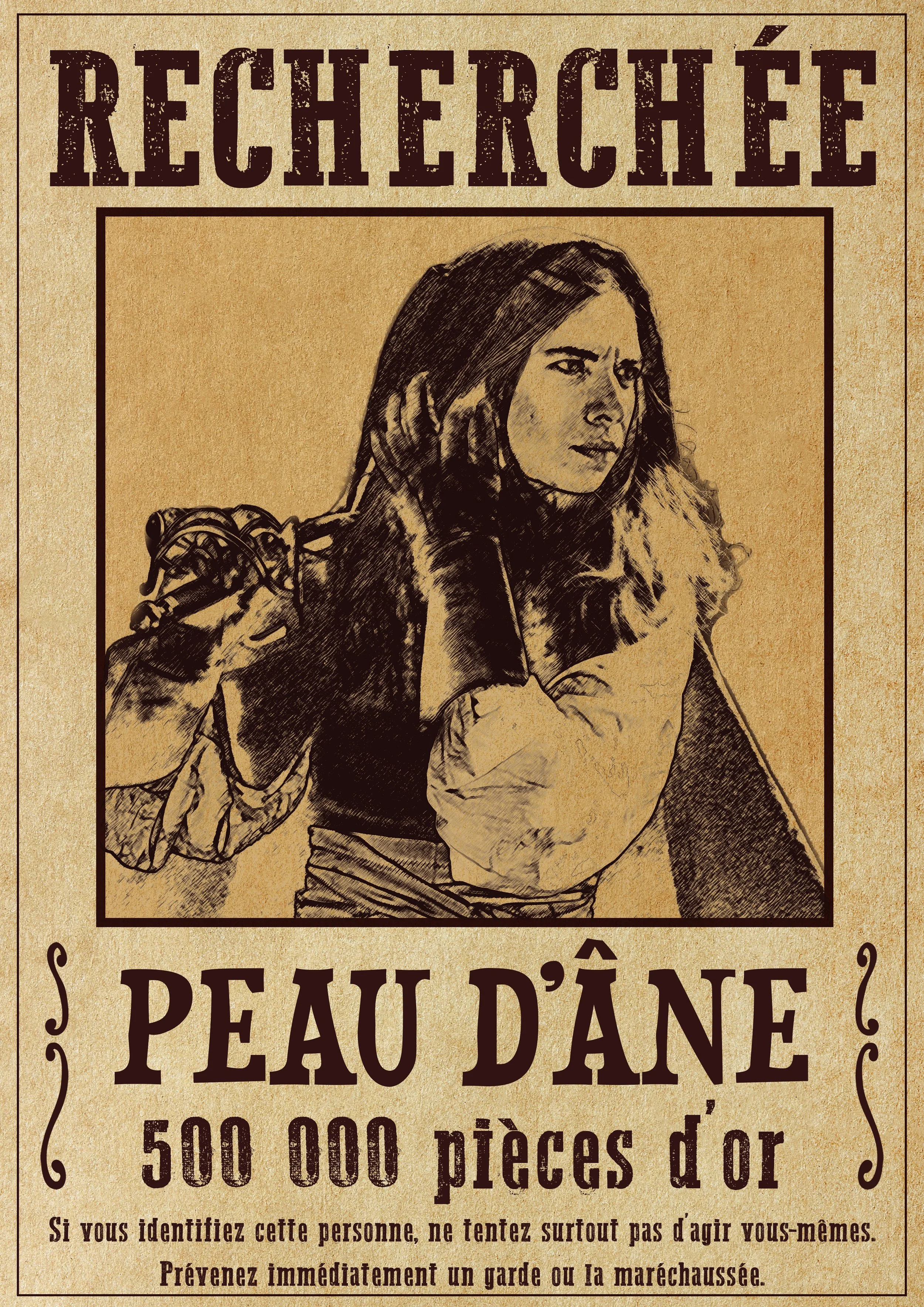 Affiche Peau d'Âne.jpg