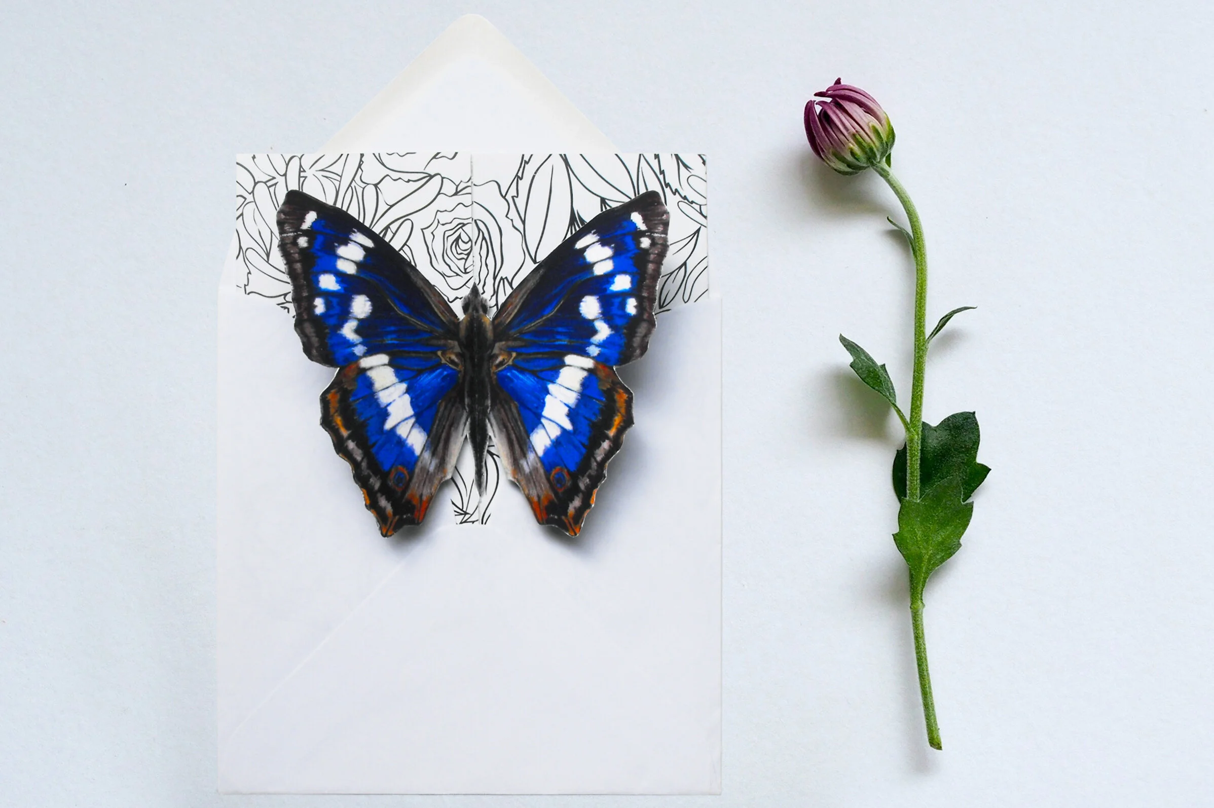 JennyGills-ButterflyWeddingInvitation-Envelope-WIP.jpg