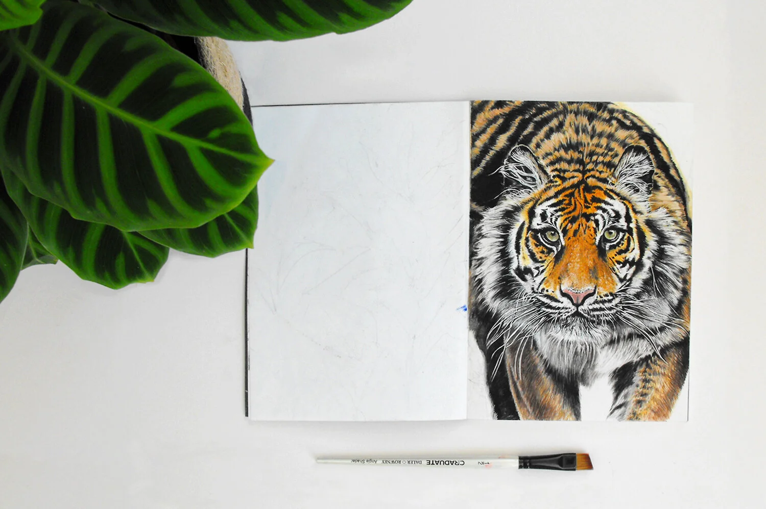 JennyGills-Painting-Tiger-Original.jpg