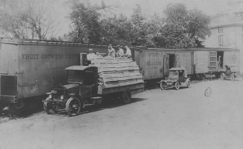 LOADING ASPARAGUS AT MULLICA HILL STATION
Grown in the area since Colonial times, asparagus heralds the arrival of spring. It became a major crop here in the early 20th century and by the 1920s, Gloucester County was the largest producer of asparagu