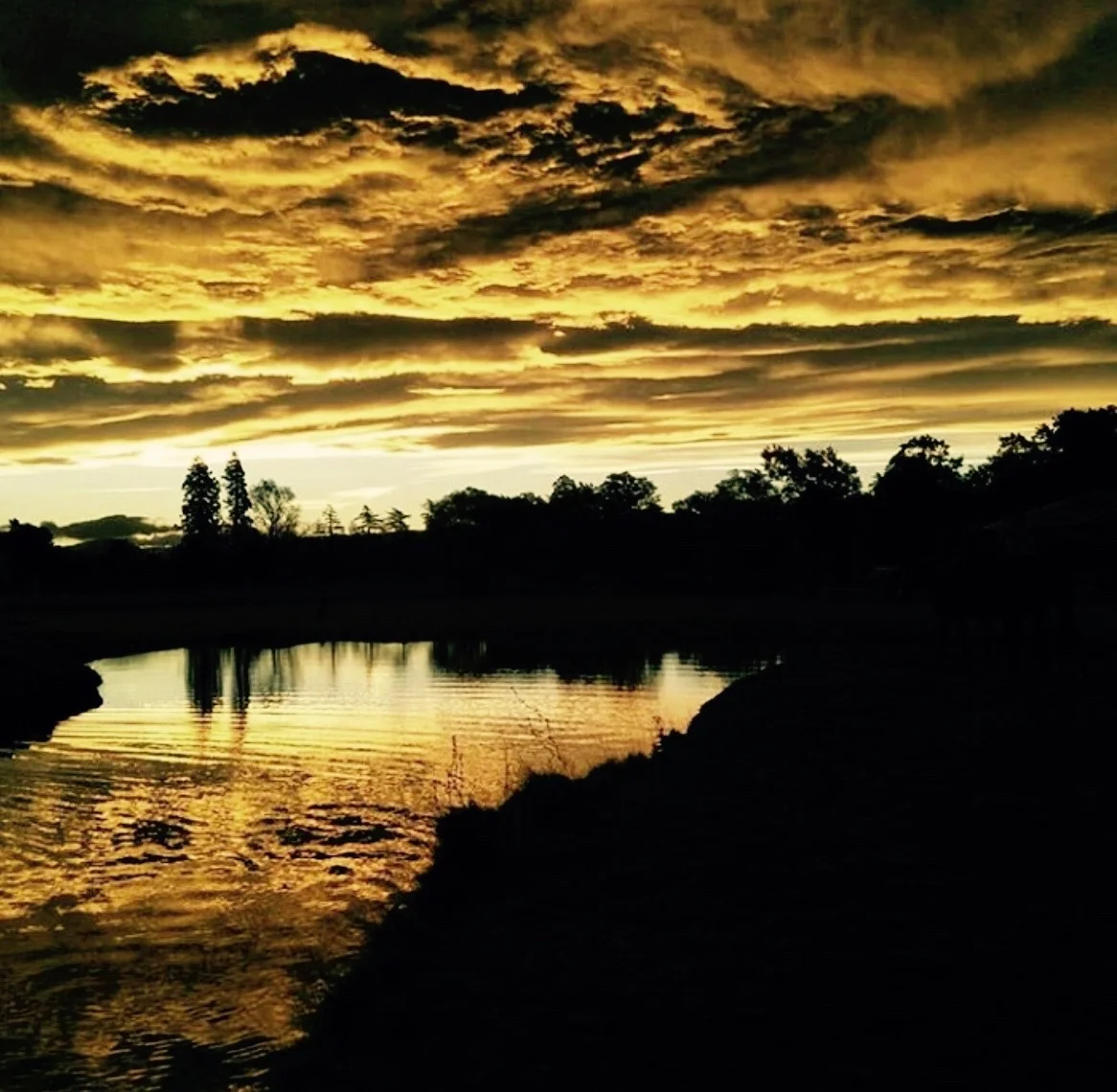 ponds sunset.jpg