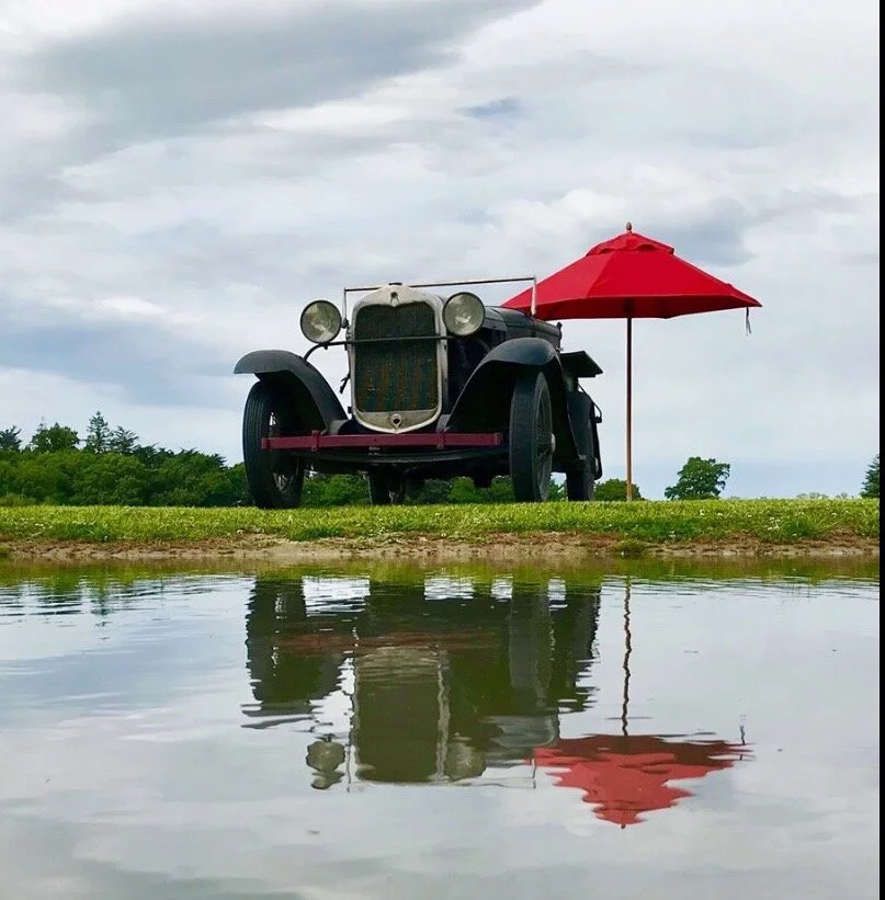 The Ponds — Bangor Farm