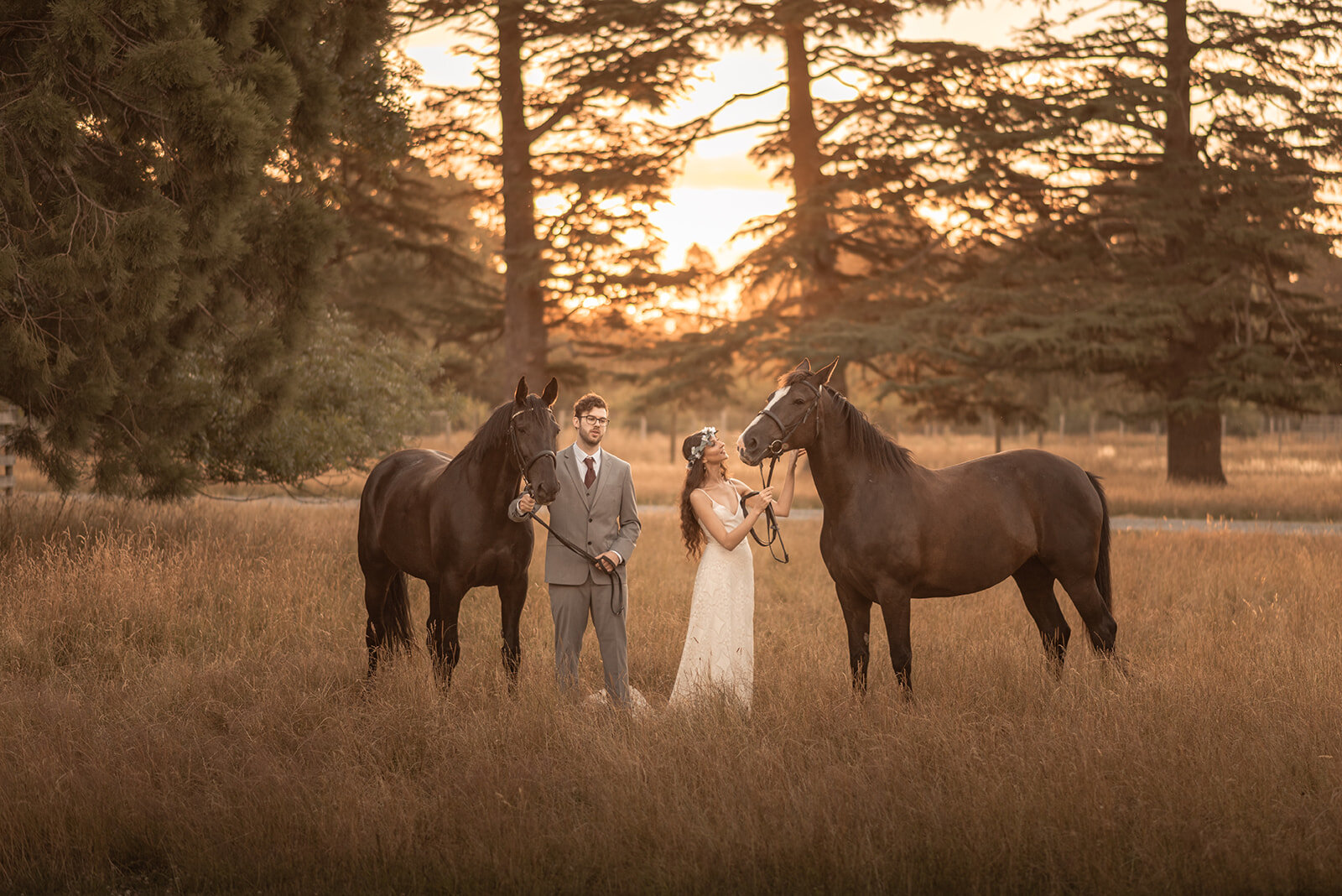The Weeding Lawn