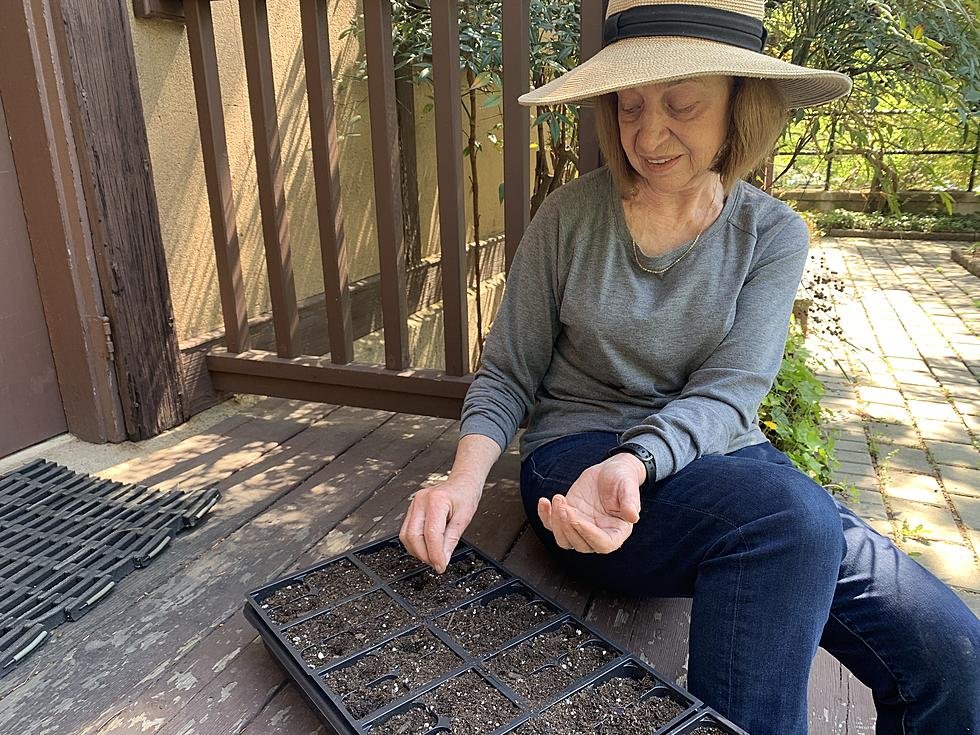 Montclair Community Farms senior program grows plants and friendships