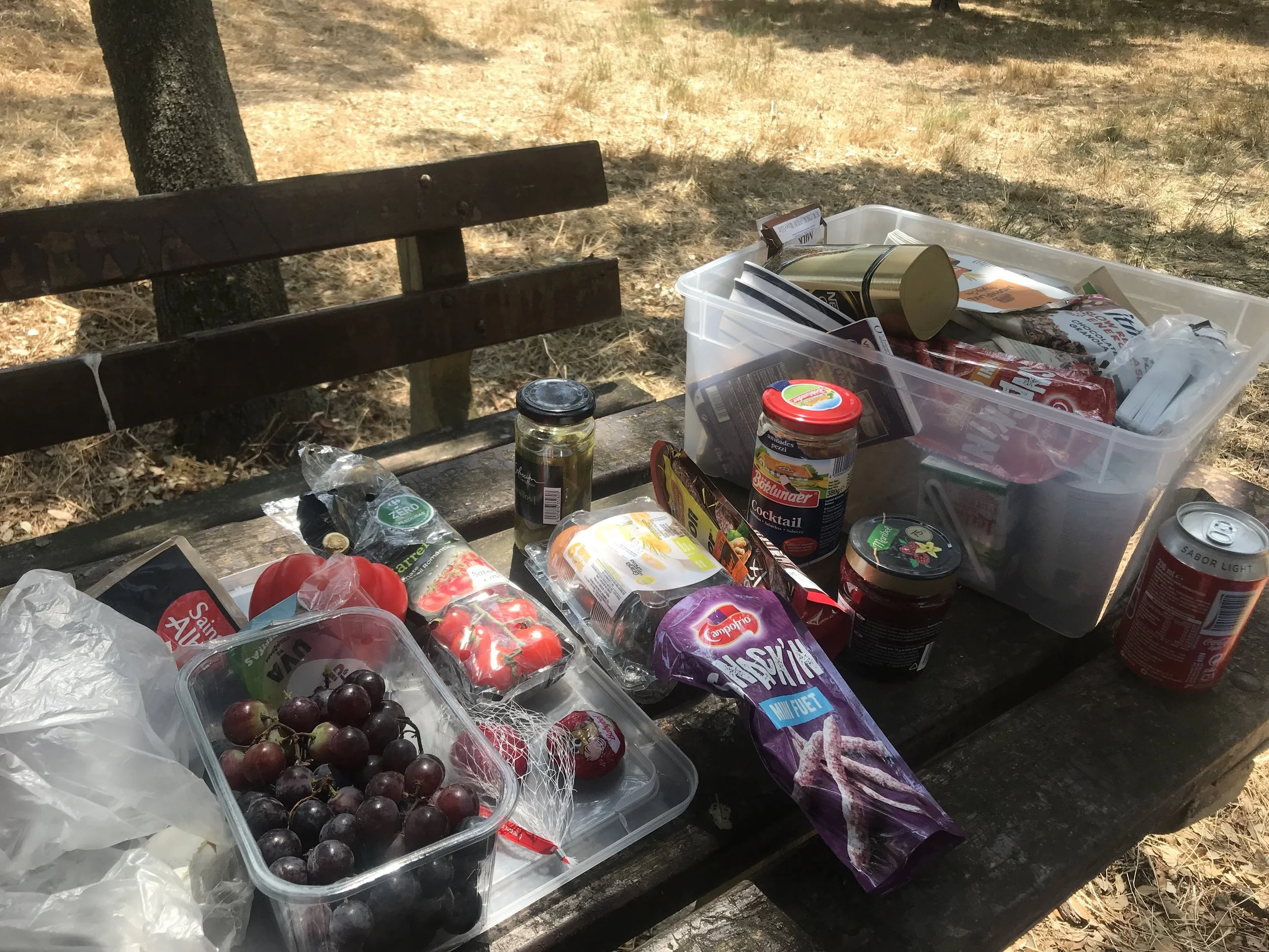Dukar upp picnic på en rastplast nånstans i Frankrike.