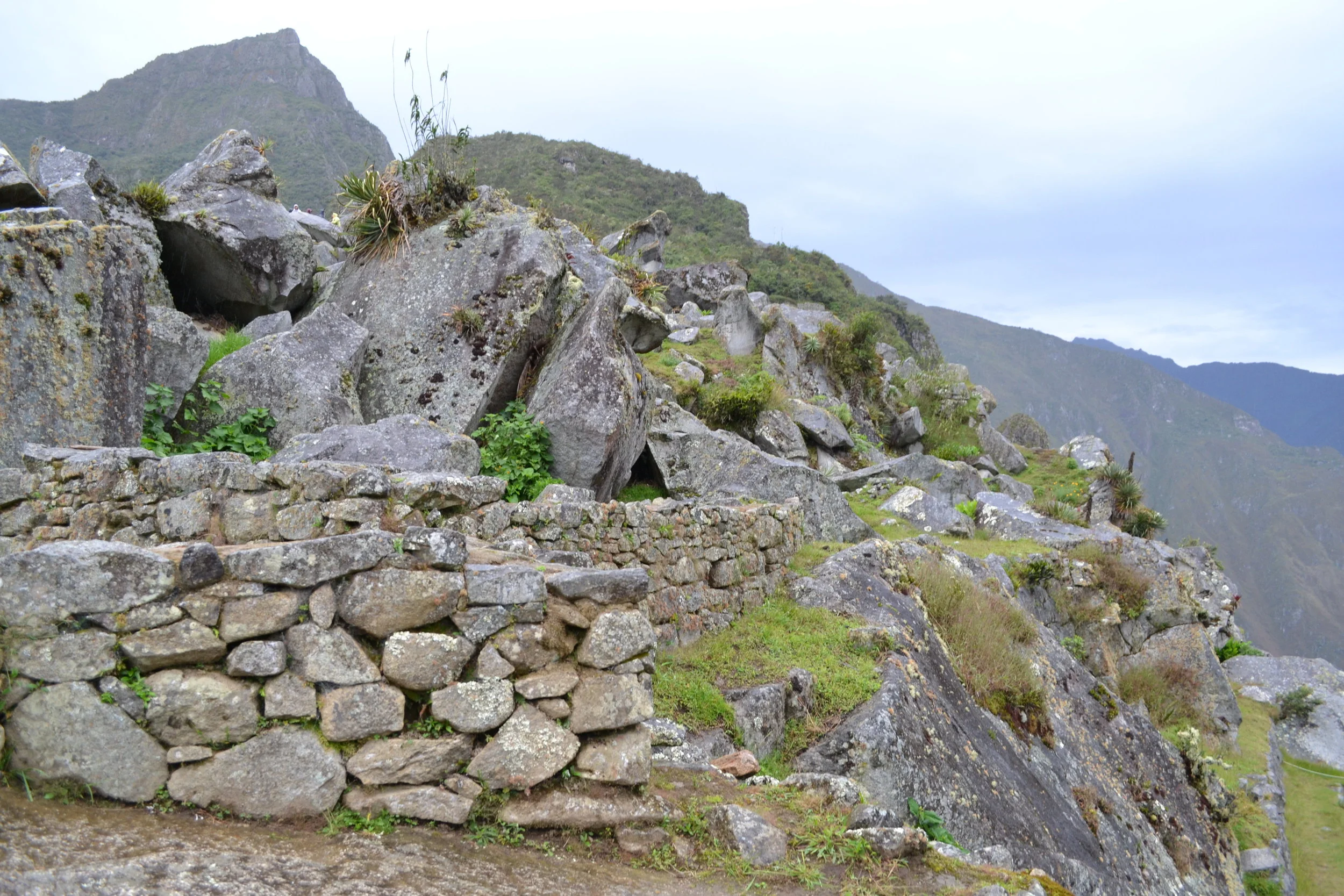 DSC_0292.JPG