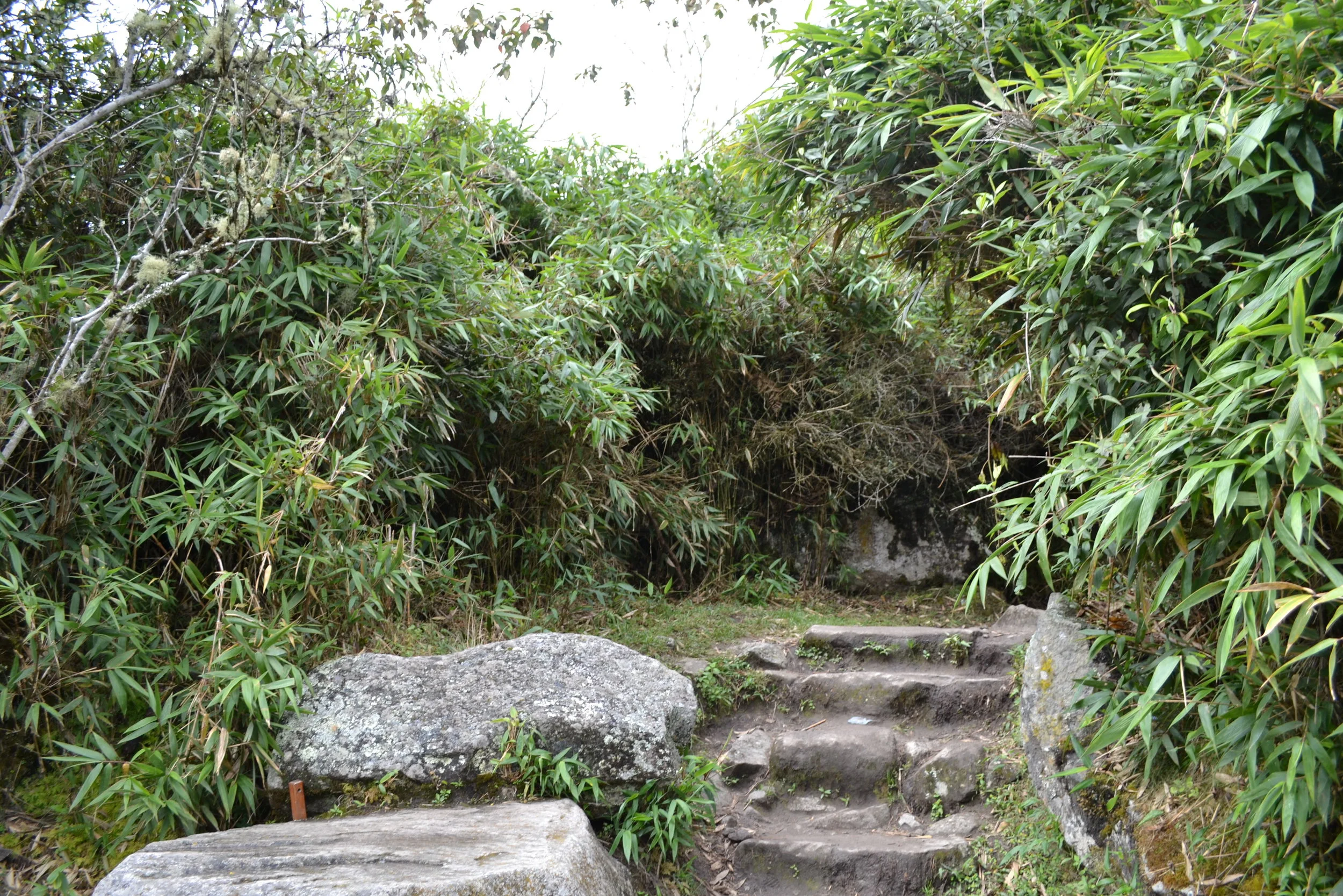 DSC_0420.JPG