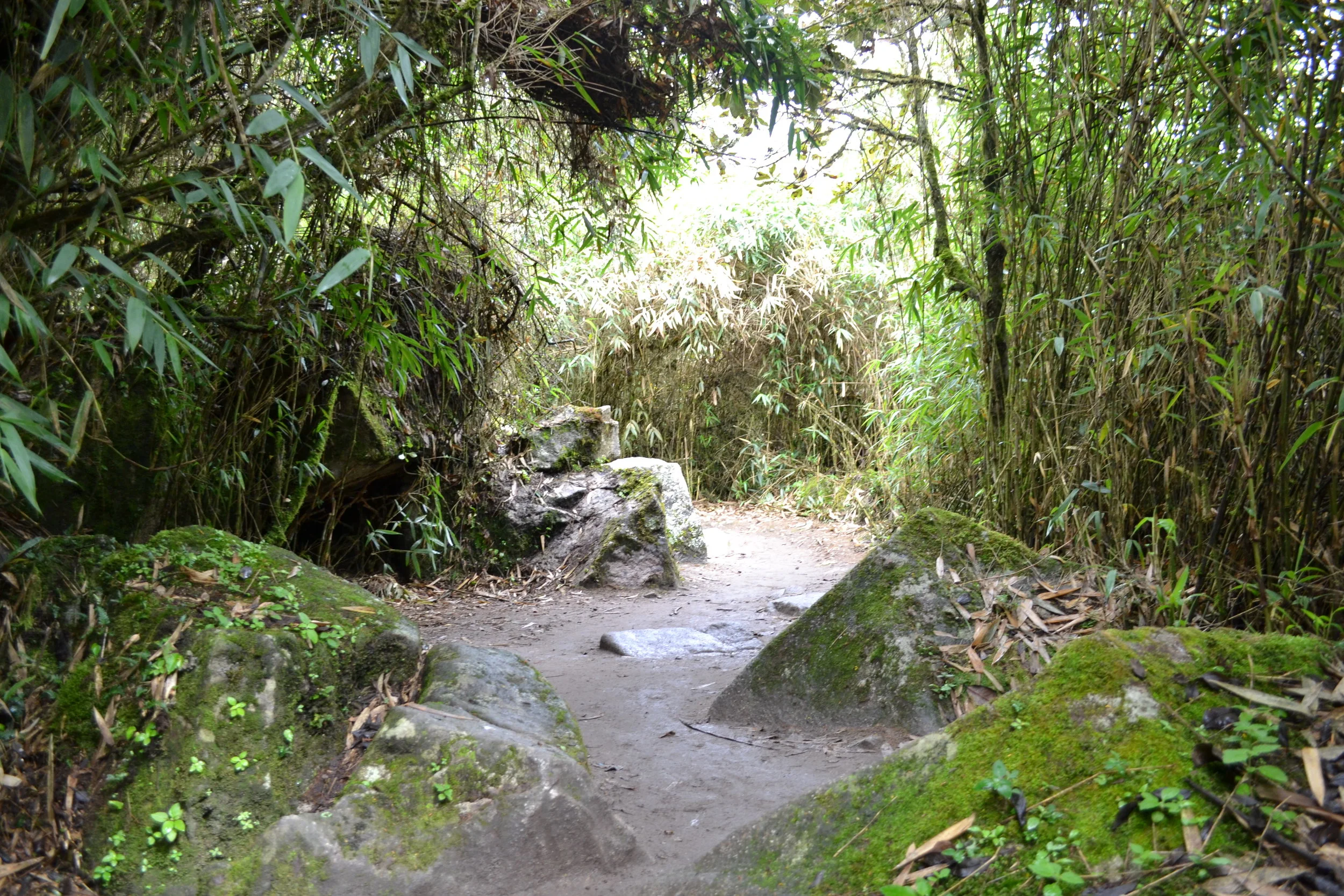 DSC_0423.JPG