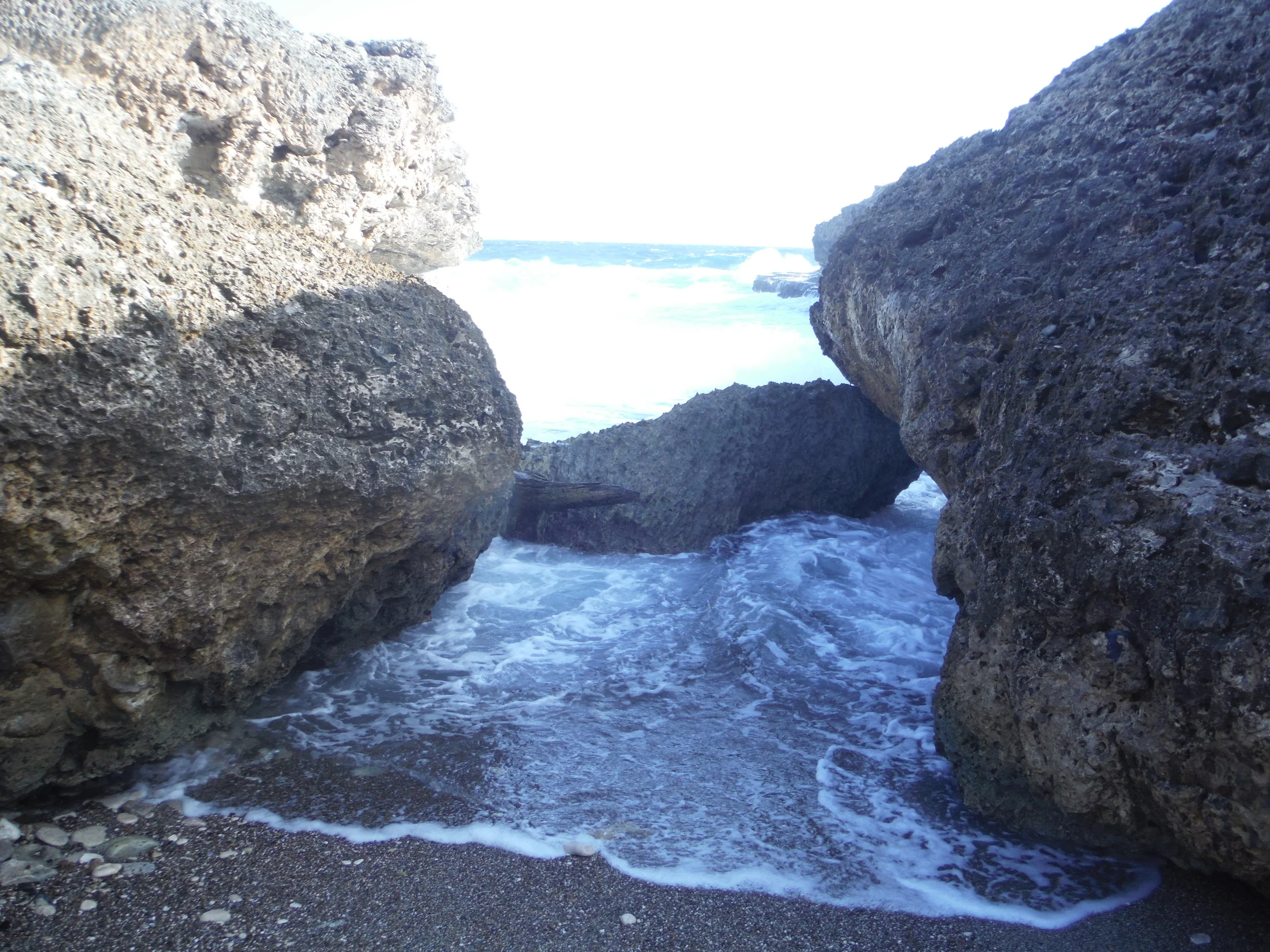 DSCF0253.JPG