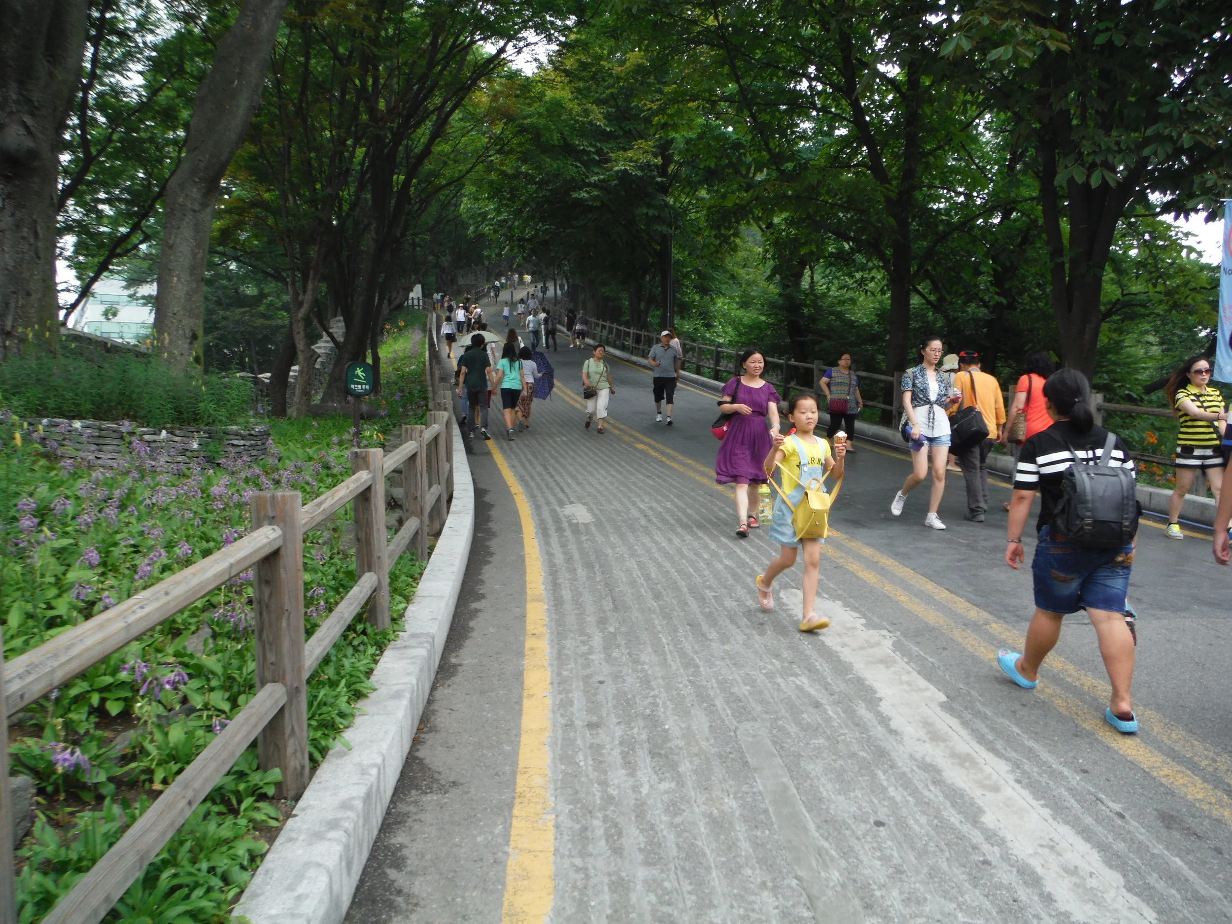 DSCF1578.JPG