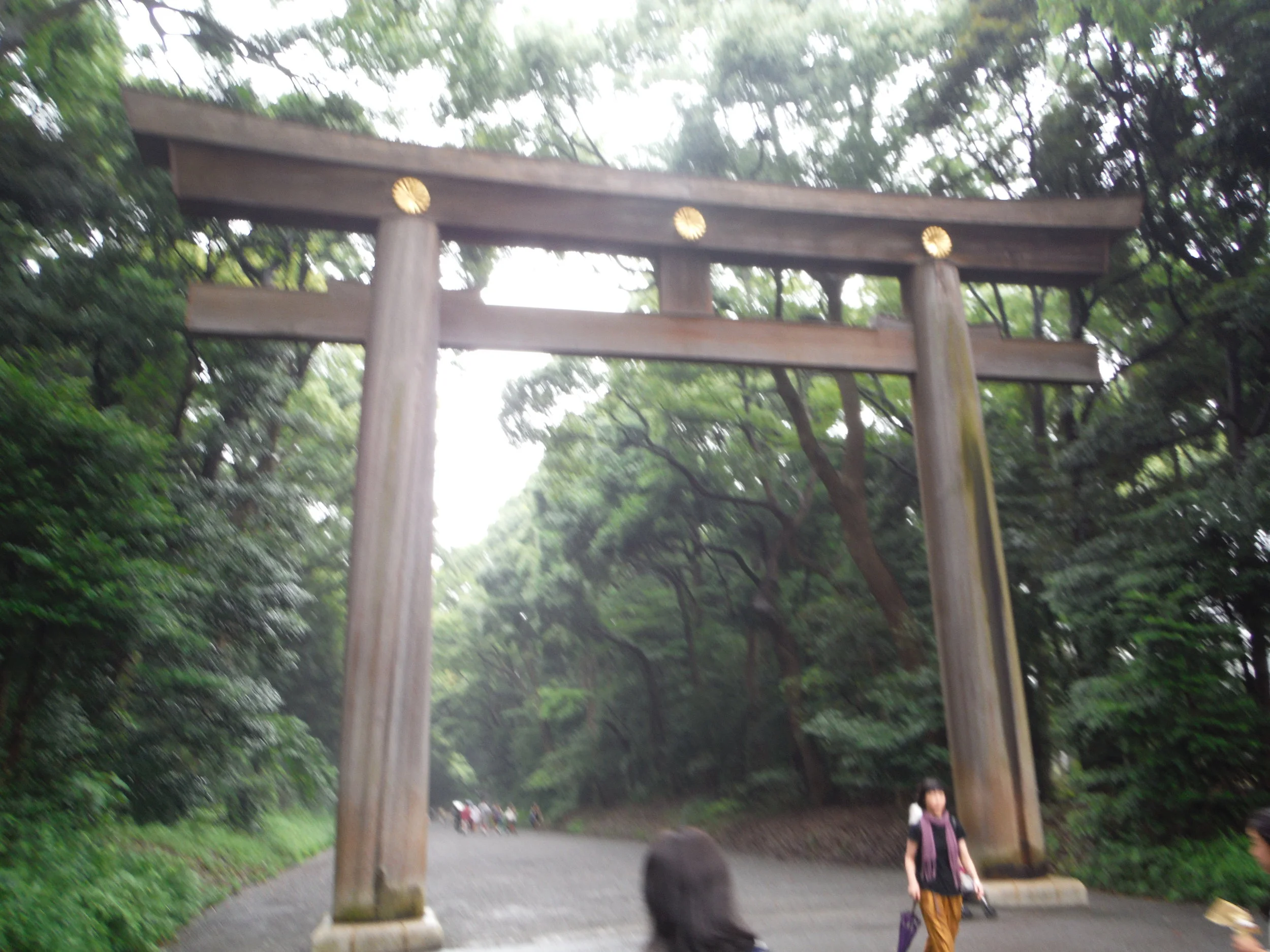 DSCF1243.JPG