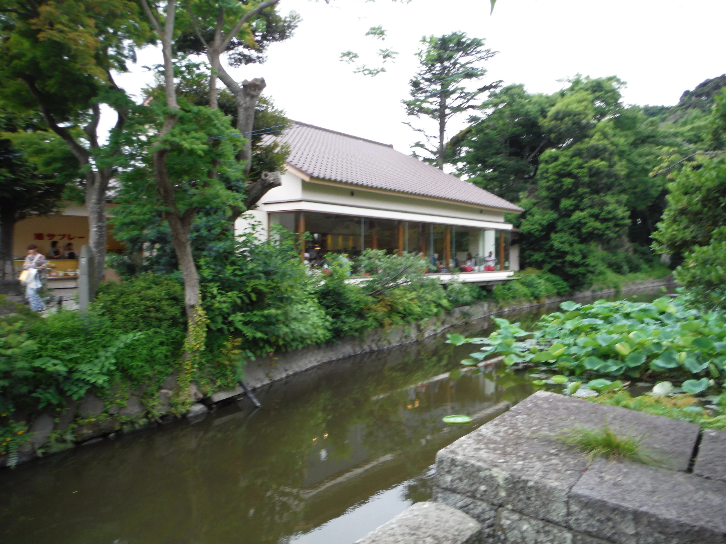 DSCF1066.JPG