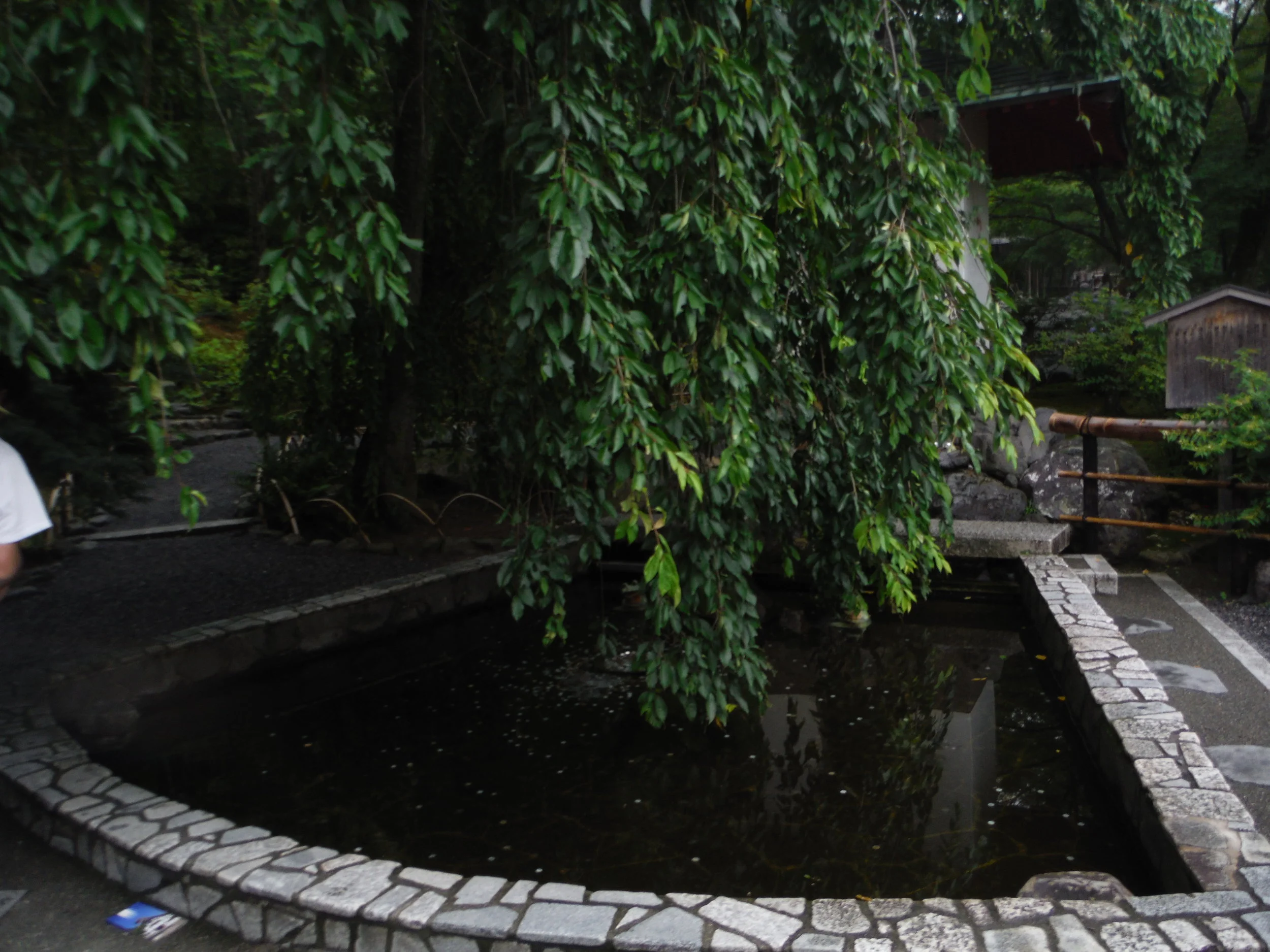 DSCF1380.JPG