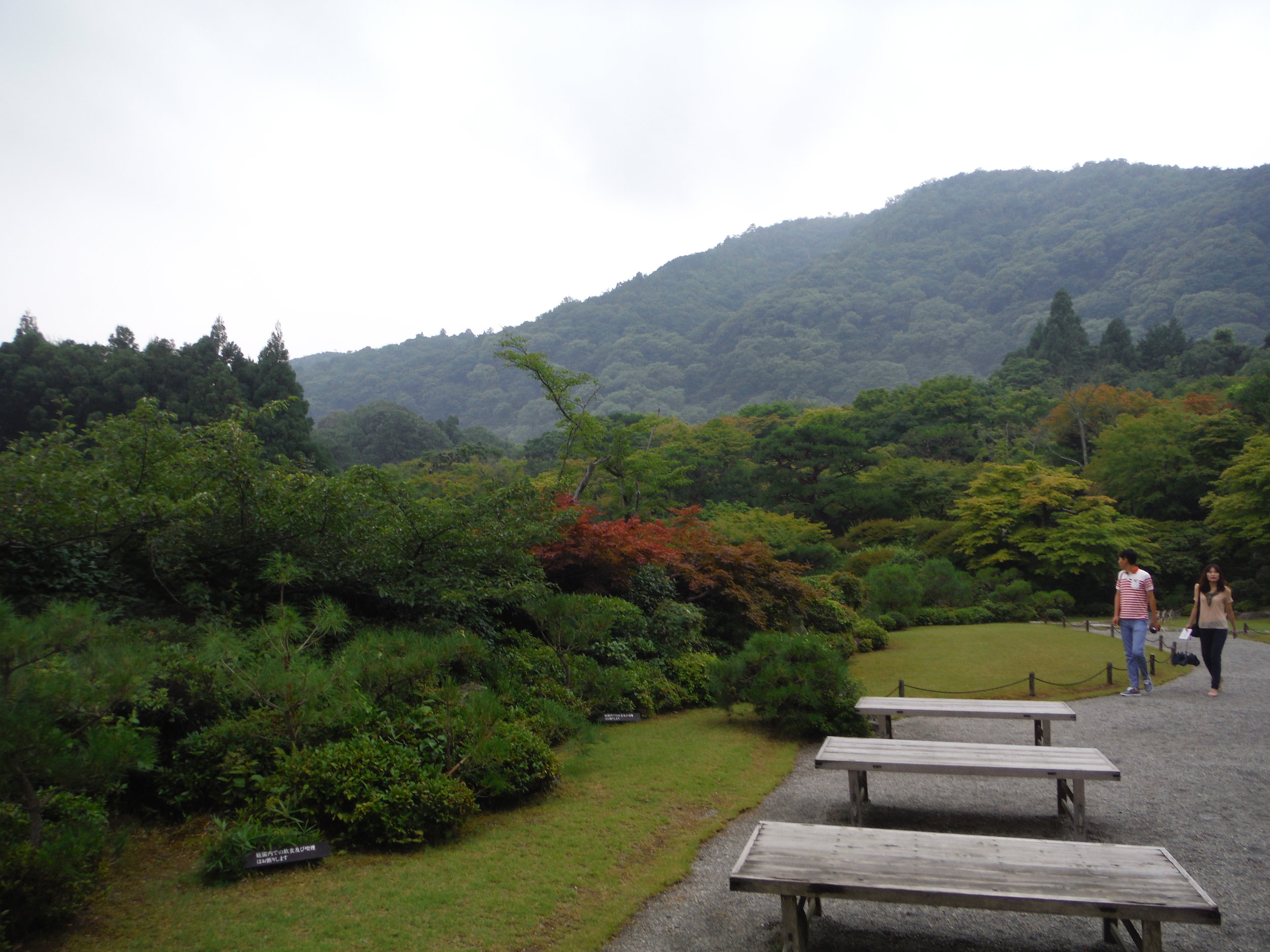 DSCF1401.JPG