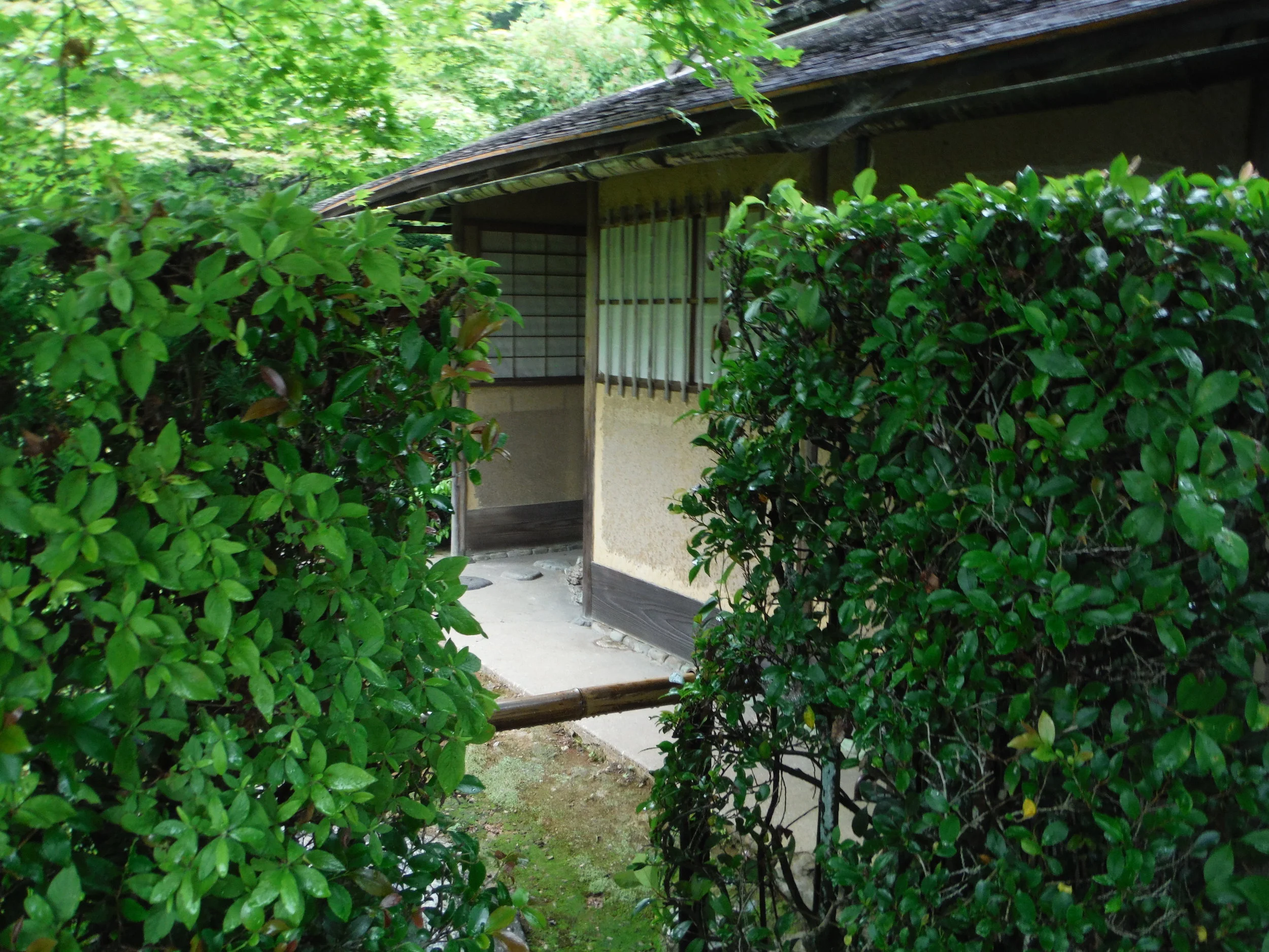 DSCF1404.JPG