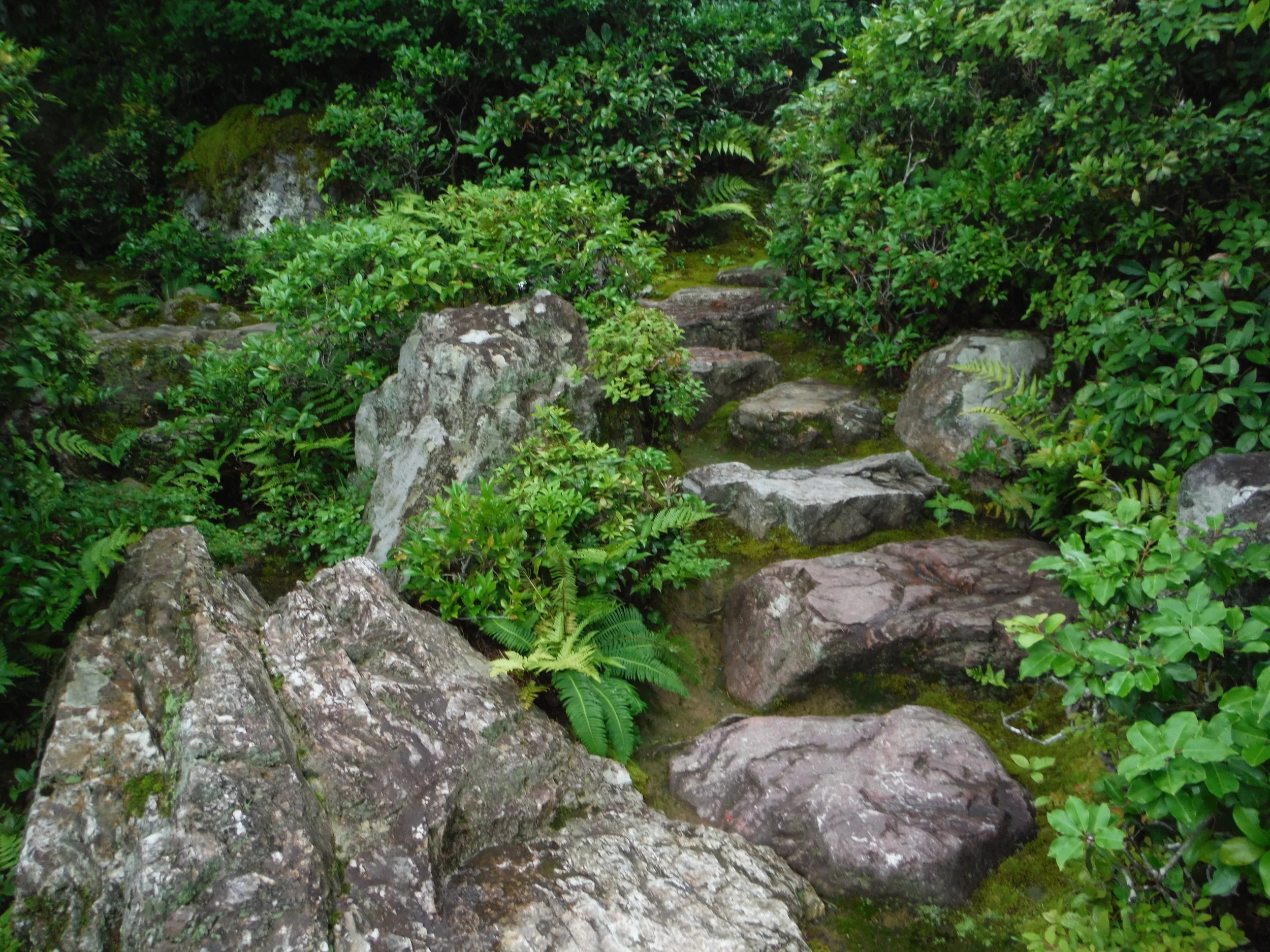 DSCF1407.JPG