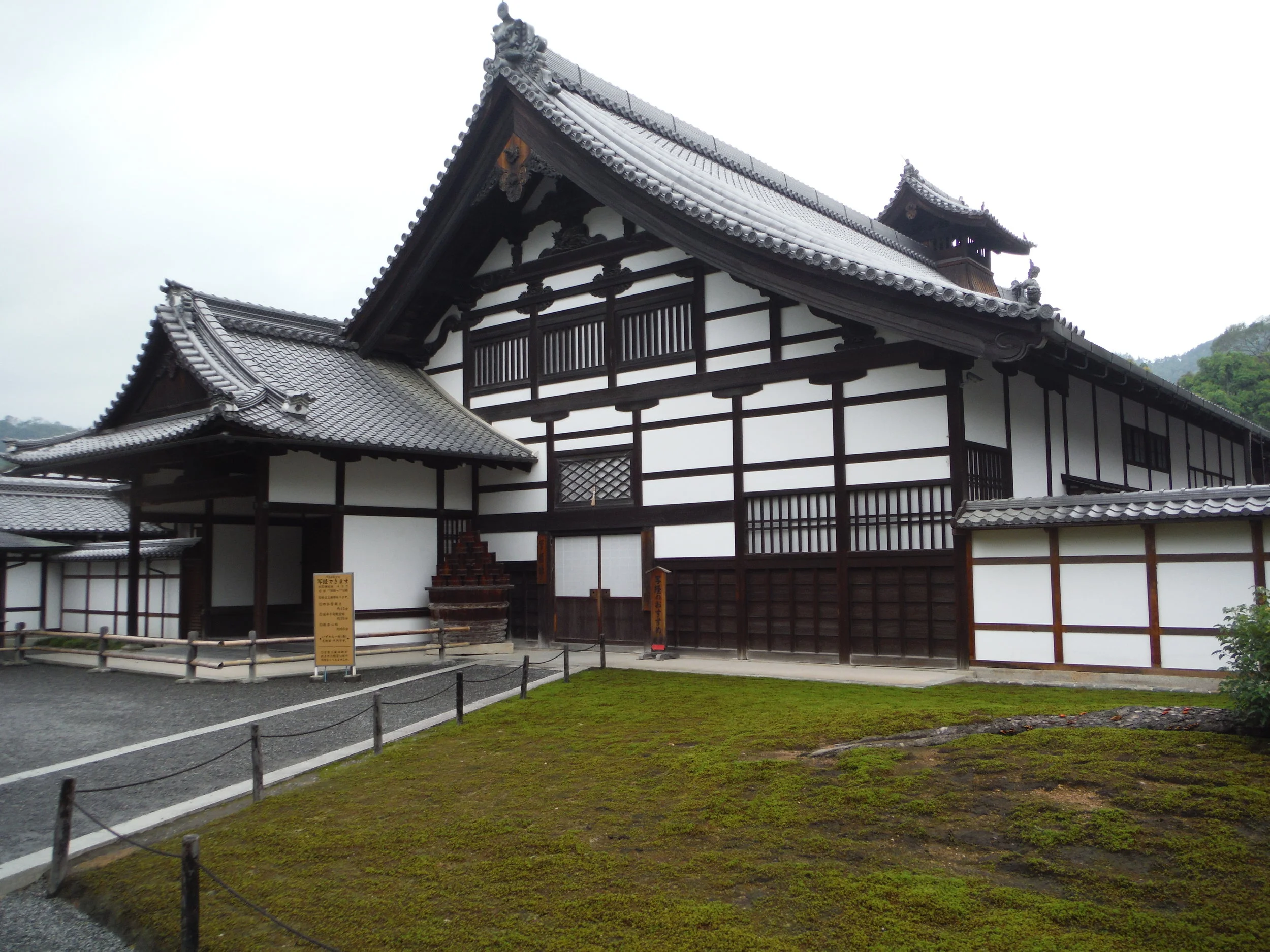 DSCF1445.JPG