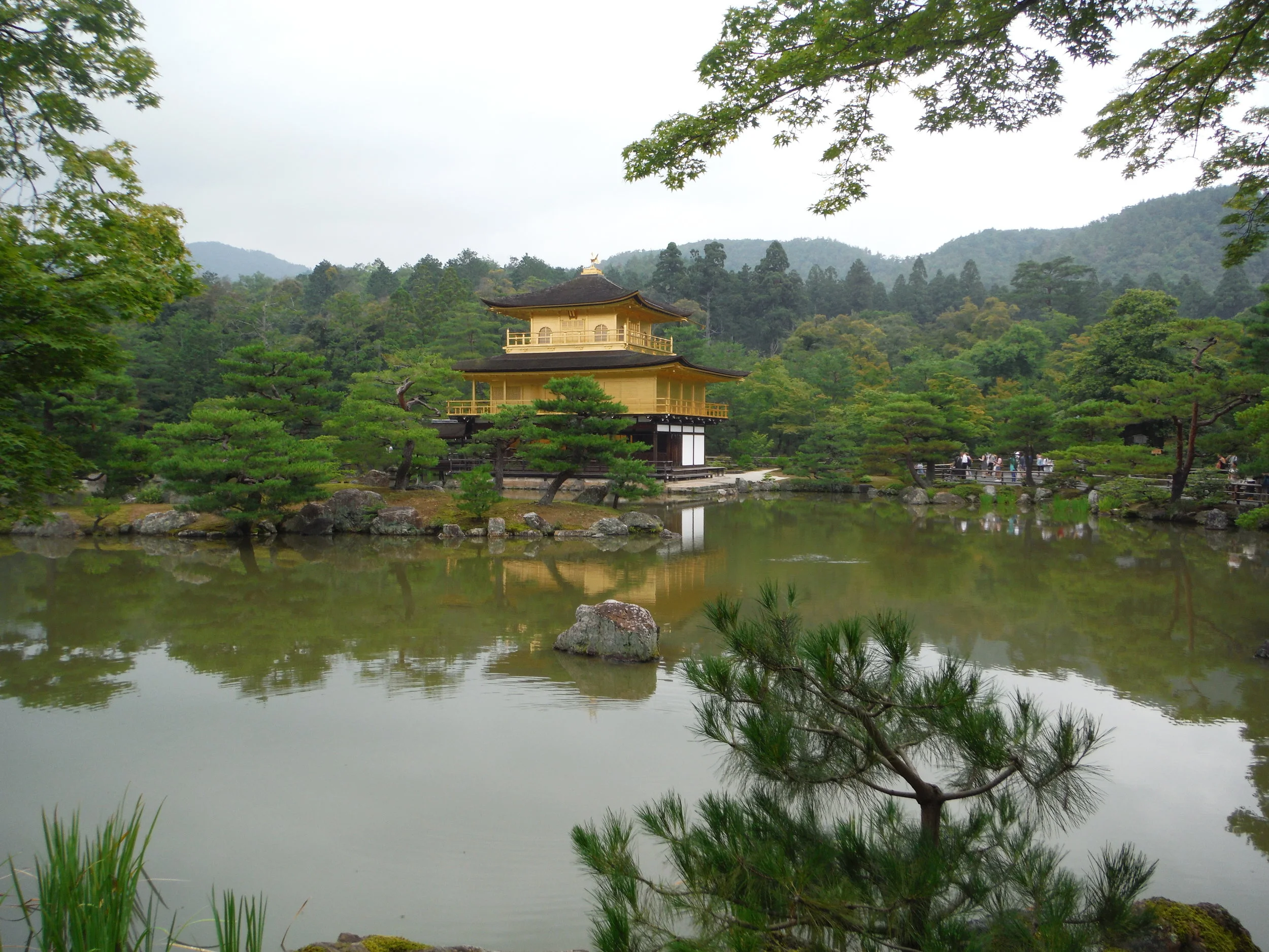 DSCF1447.JPG