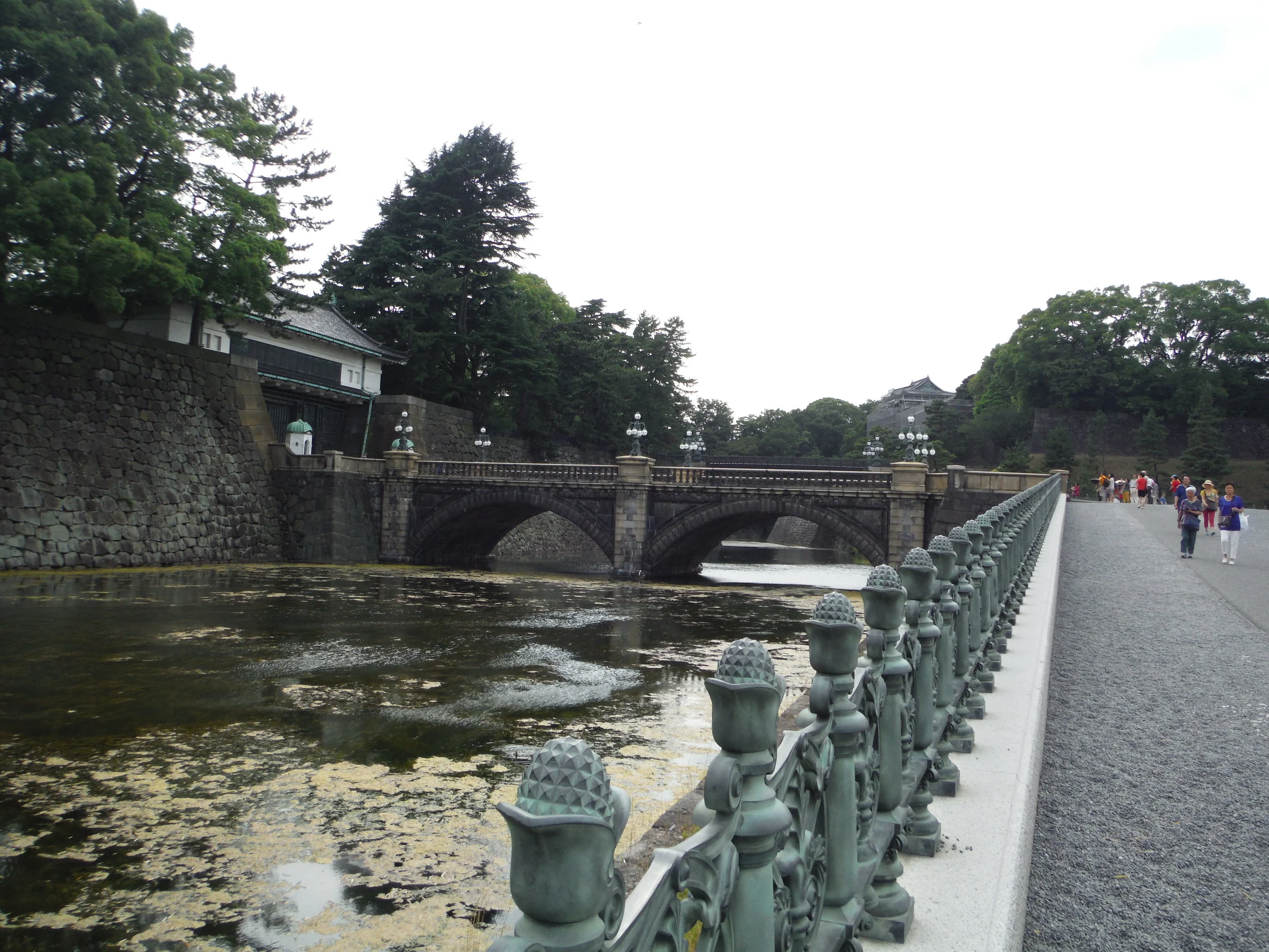 DSCF1037.JPG