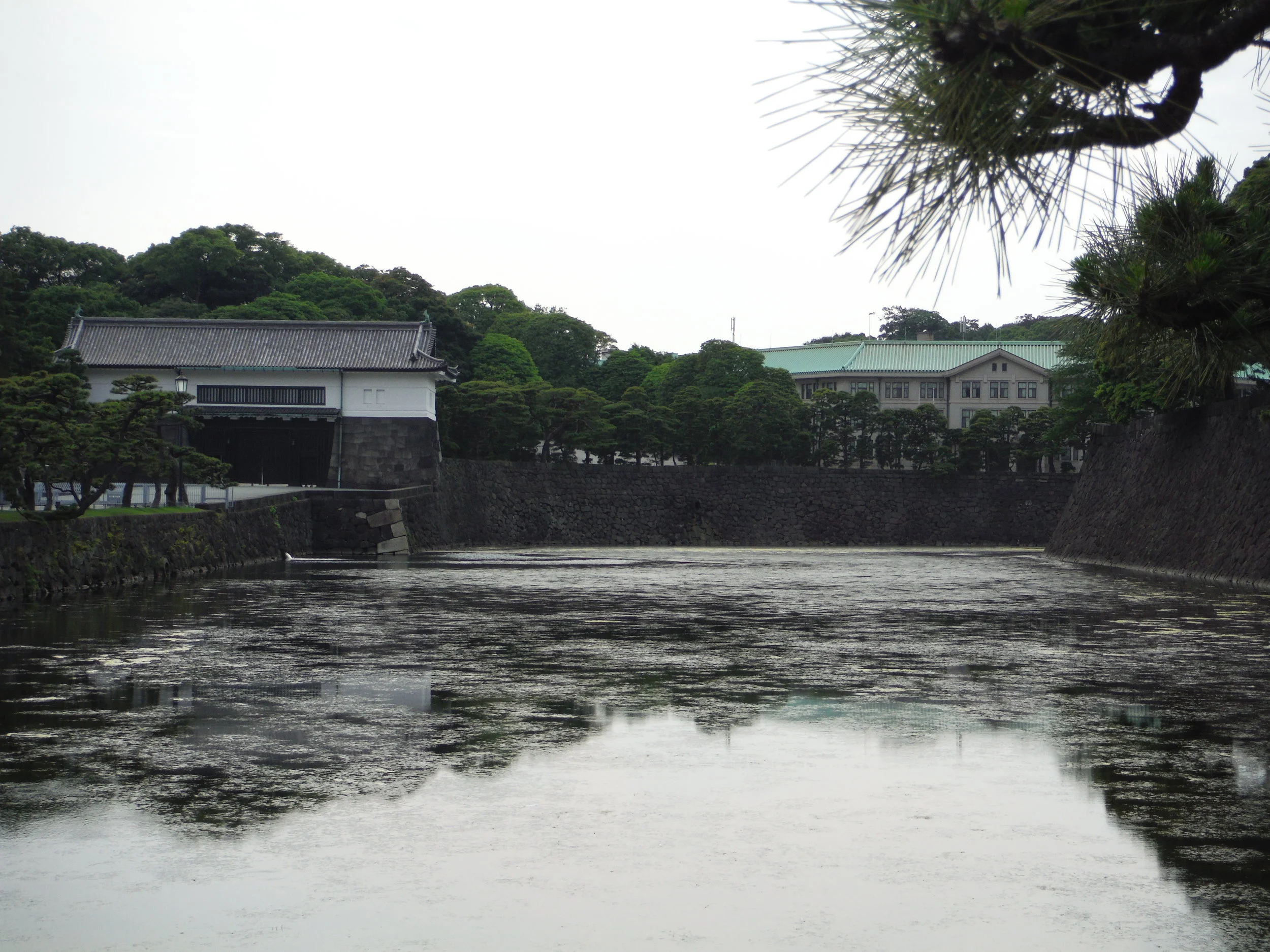 DSCF1052.JPG