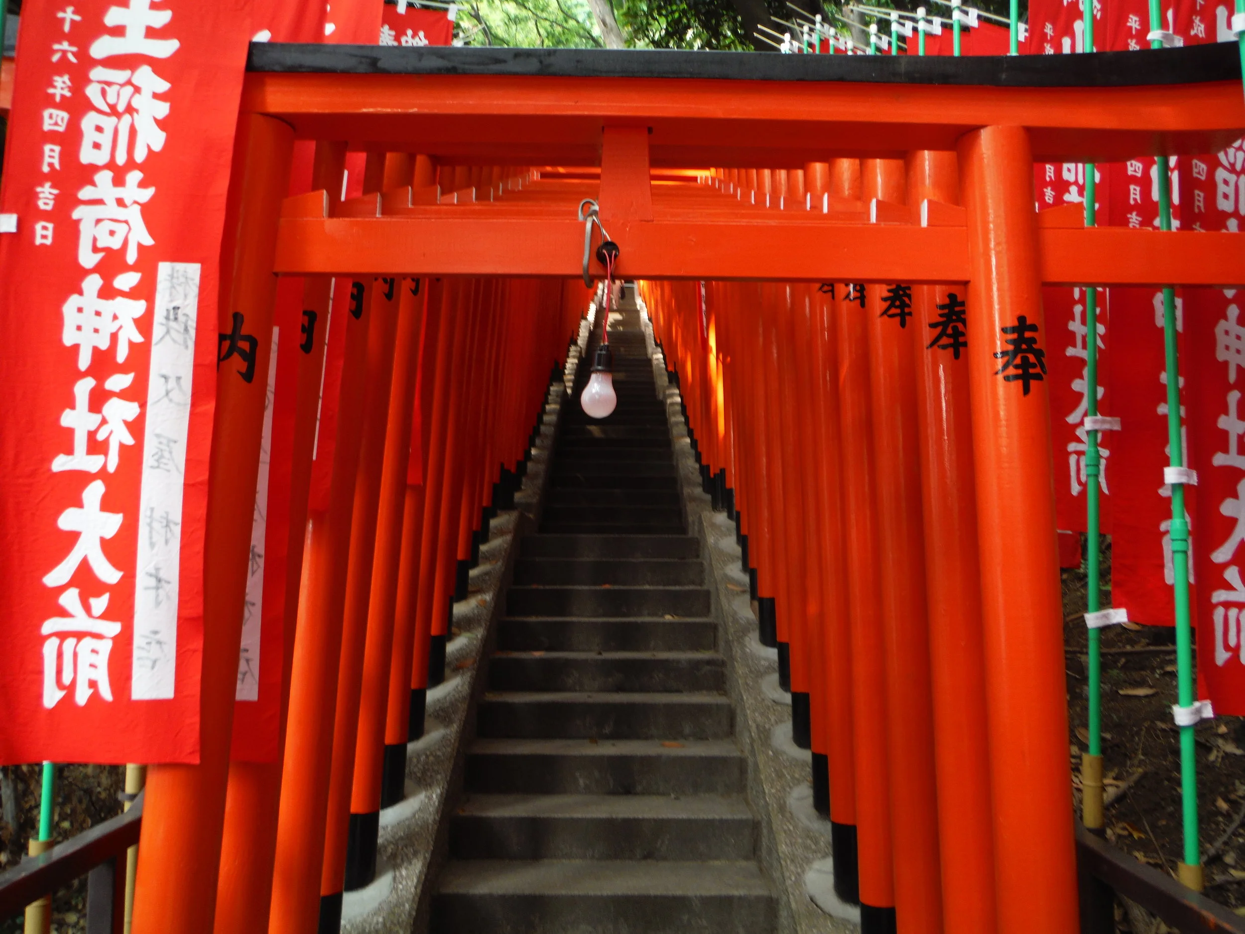 DSCF0337.JPG