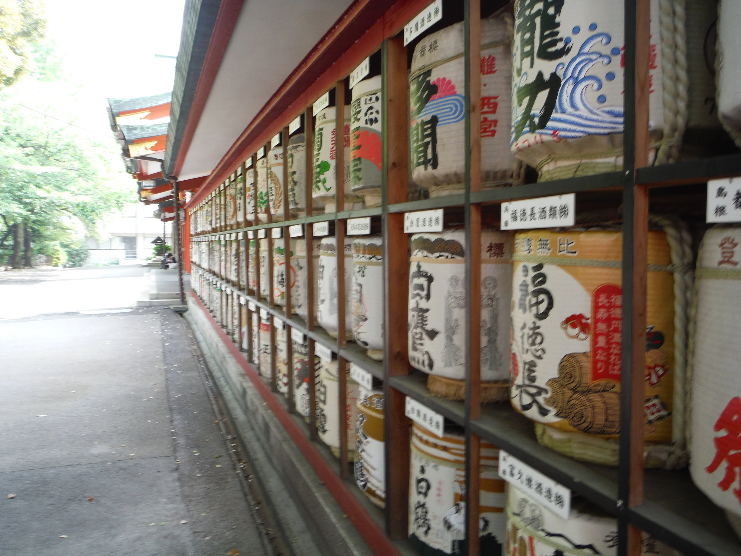 DSCF0340.JPG