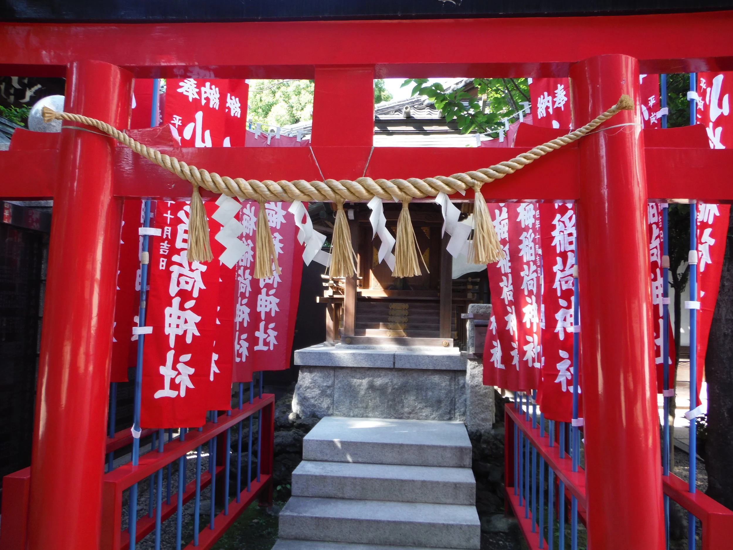 DSCF0856.JPG