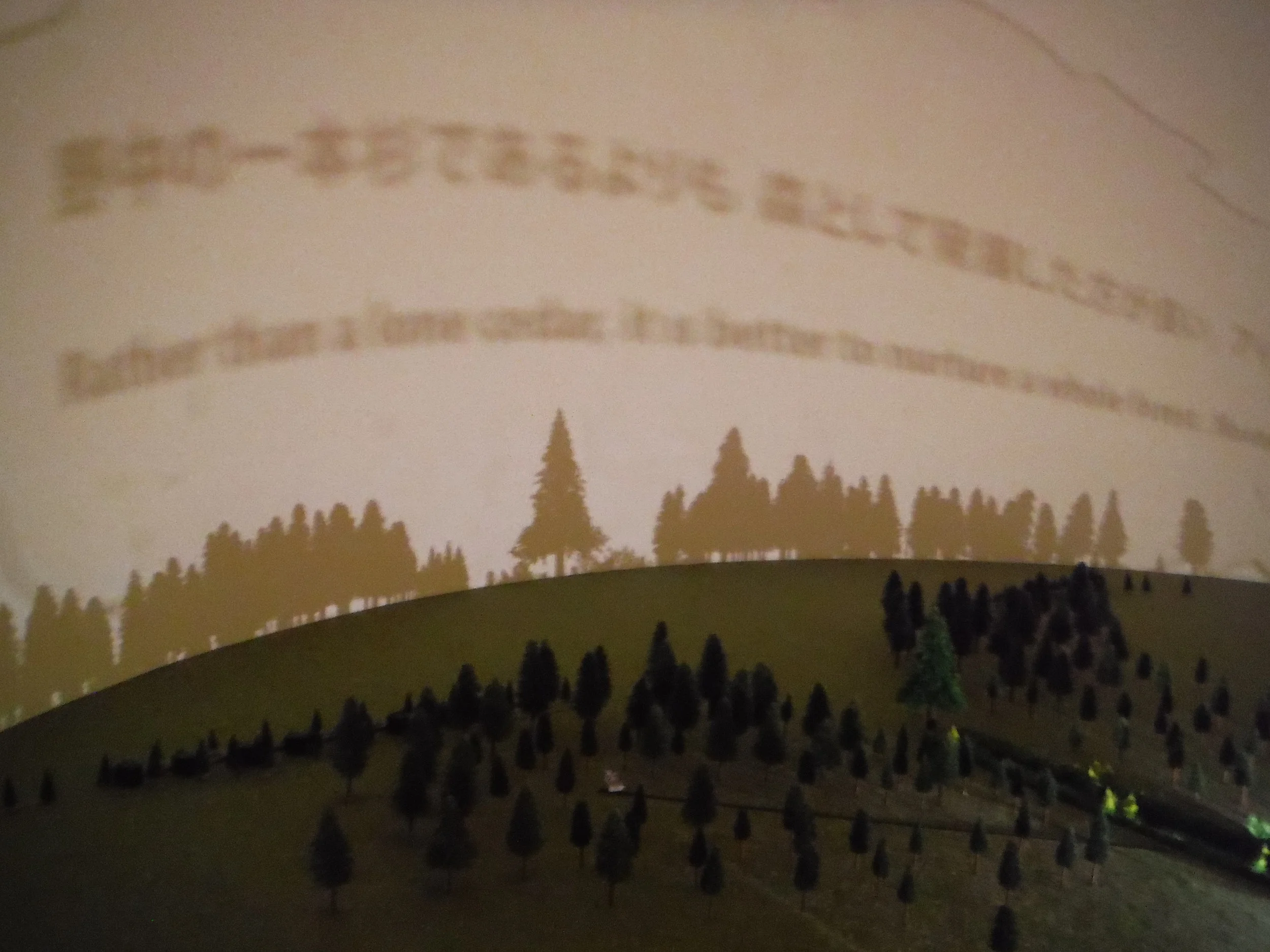 DSCF0540.JPG