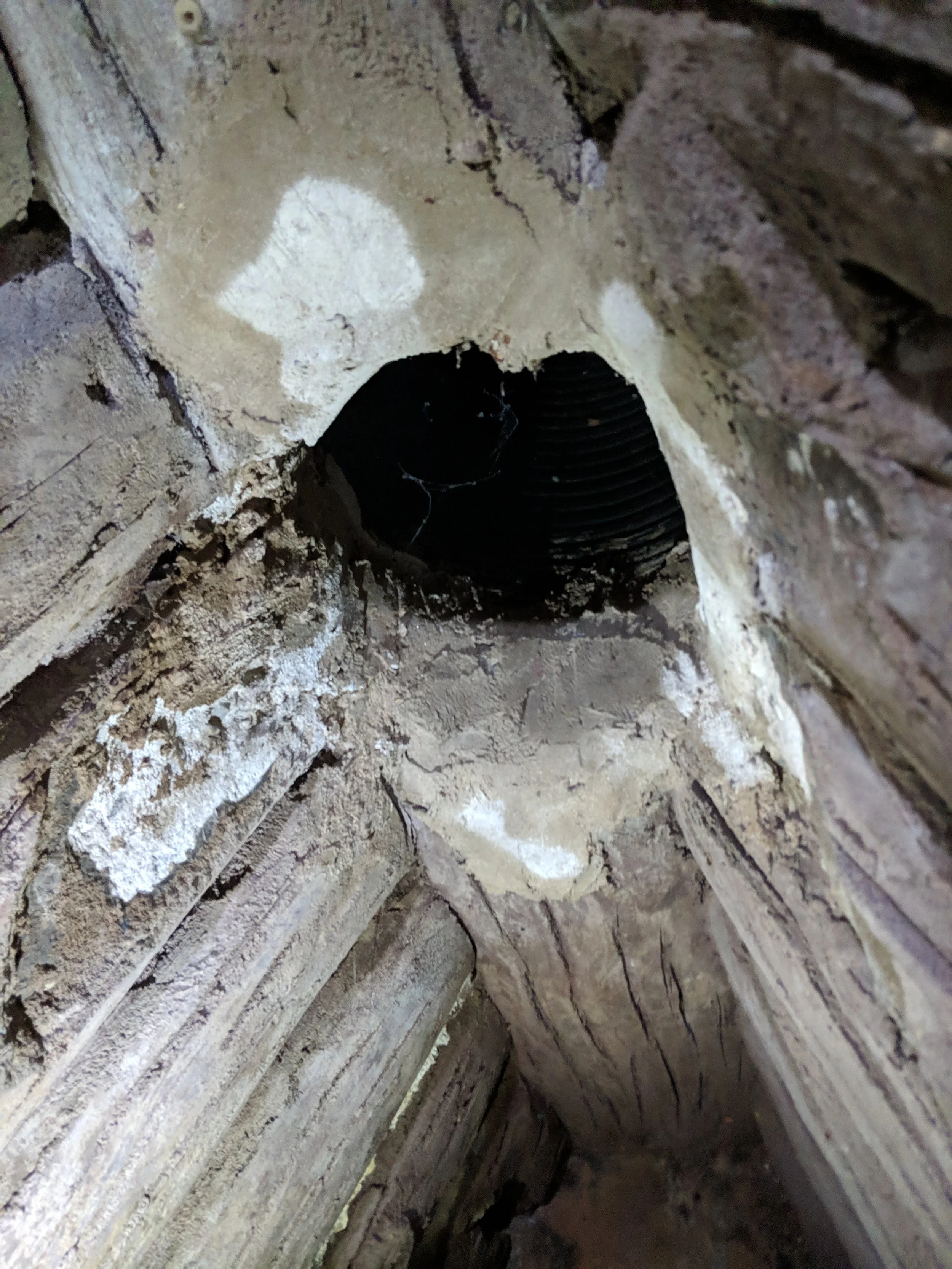 MVIMG_20181226_103343.jpg