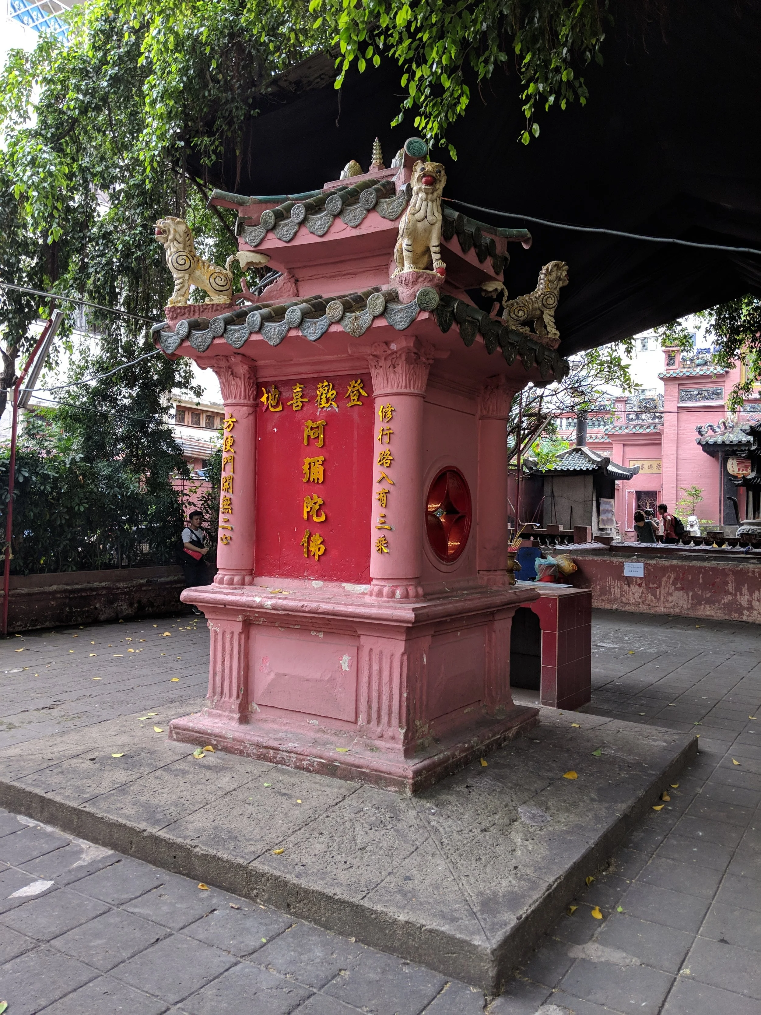 MVIMG_20181226_135145.jpg