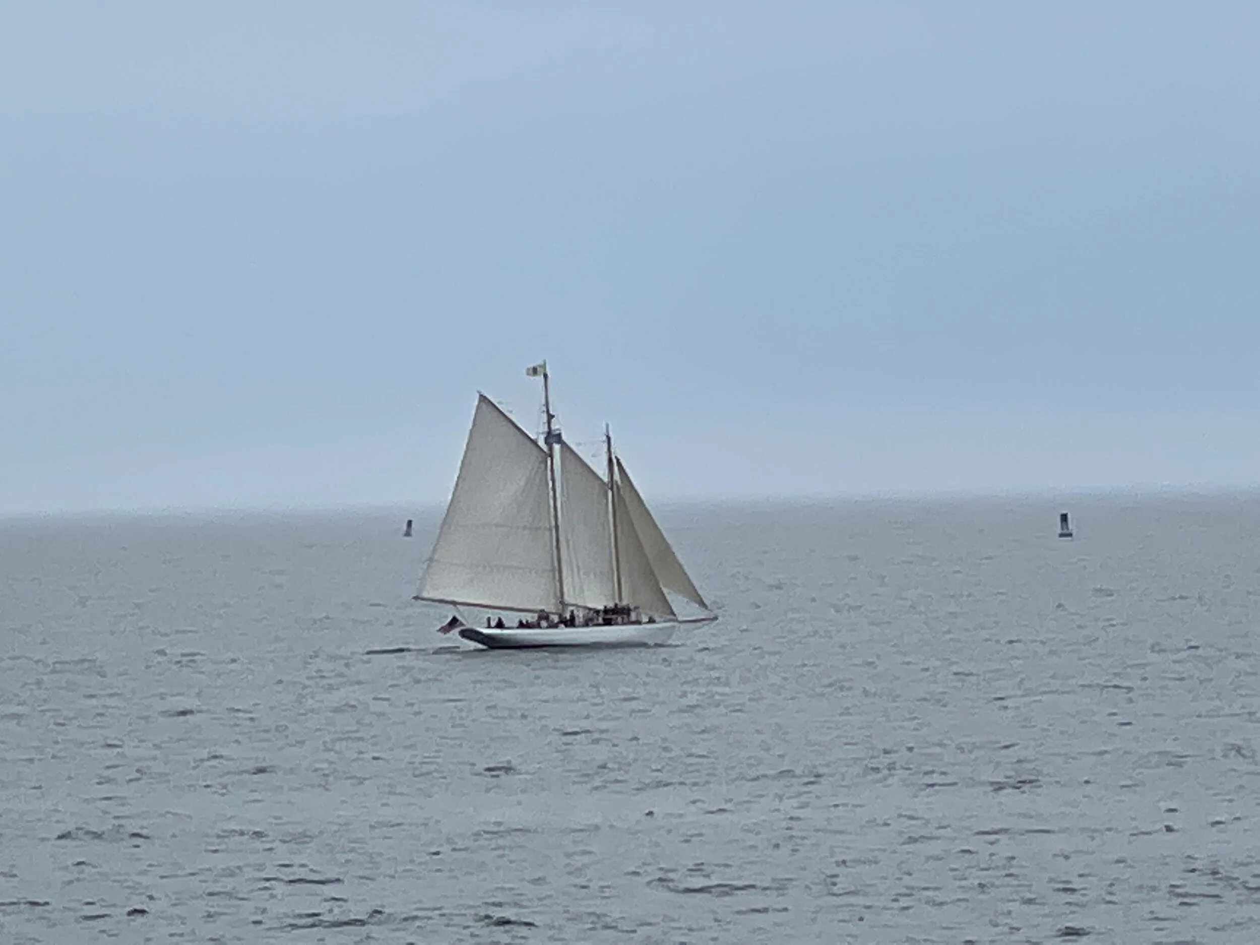 IMG_20210706_112132.JPG
