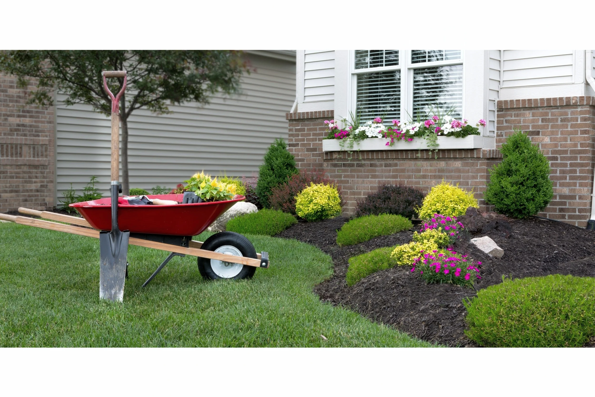 Landscape Homepage.jpg