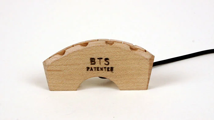 Transducers For String Instruments Violins — Jordan Violins