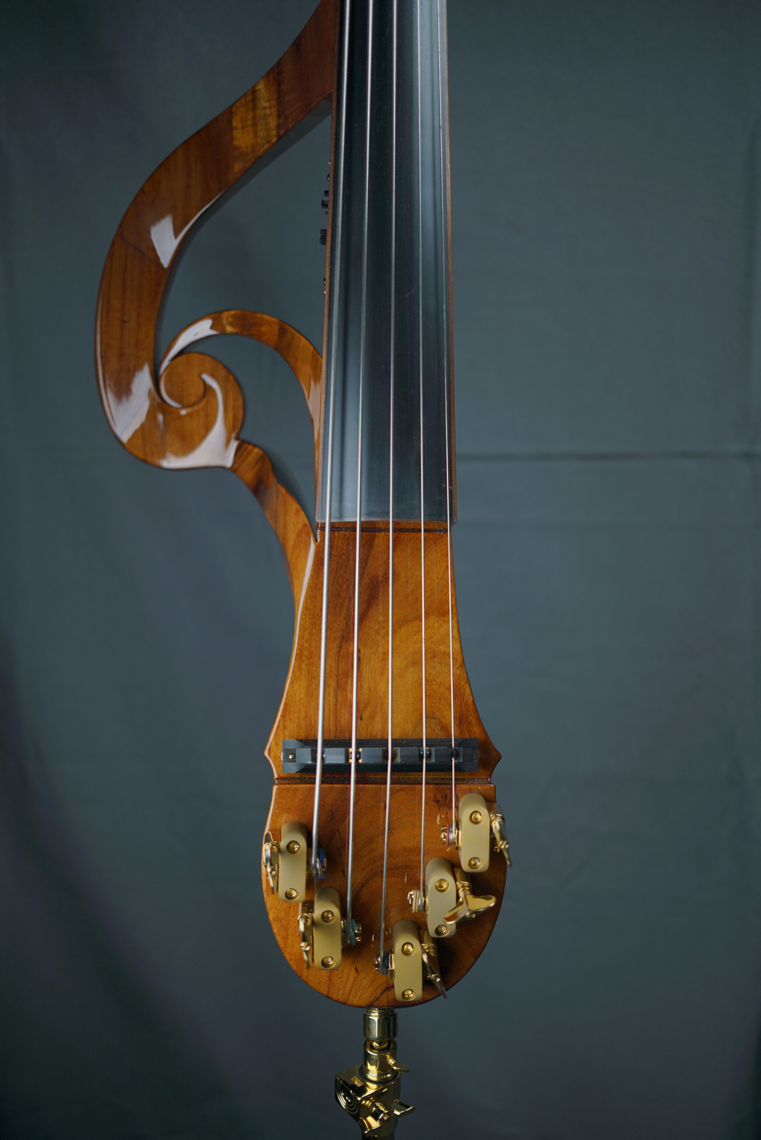 5 String Bass