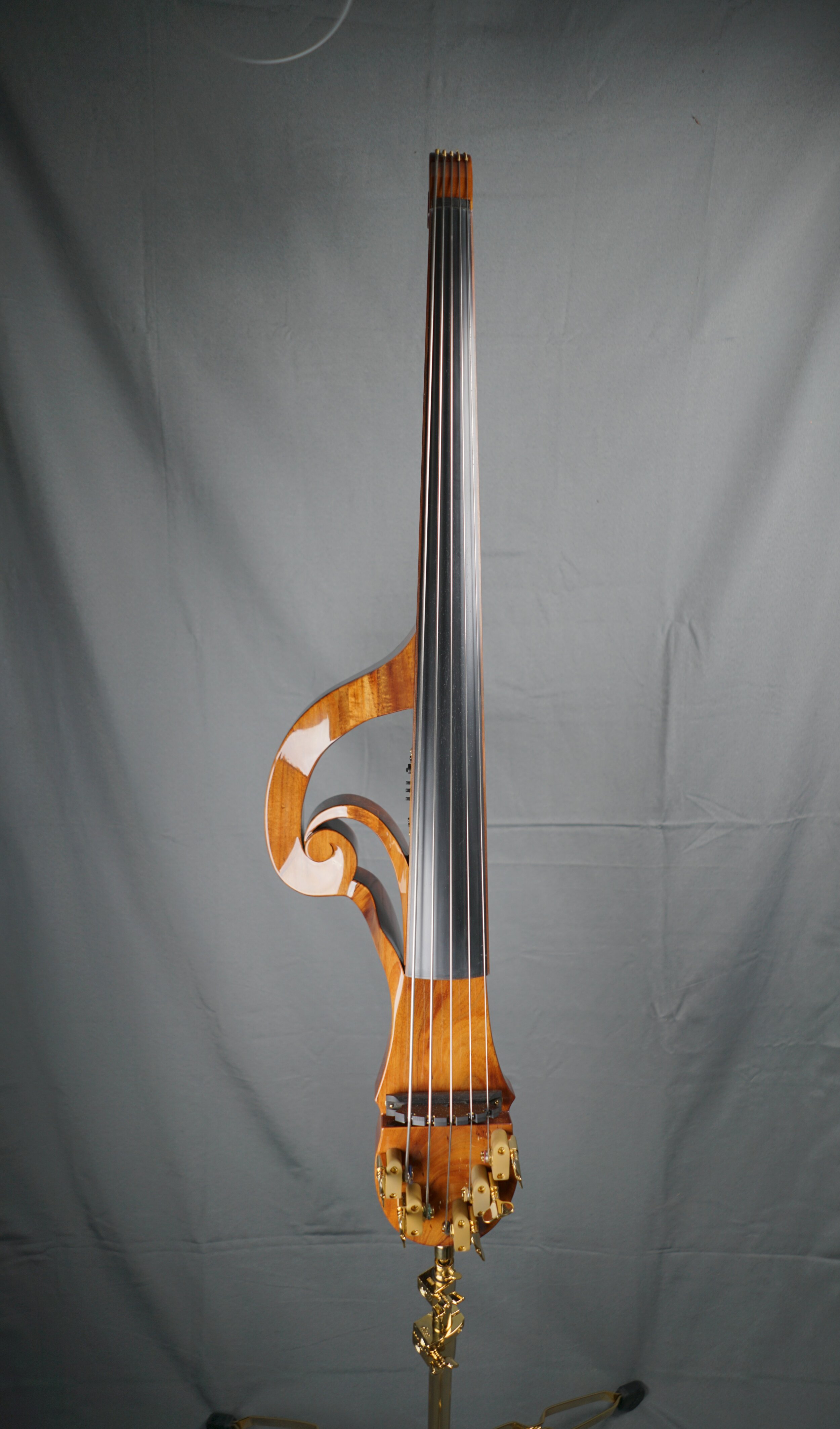 electric upright bass kit