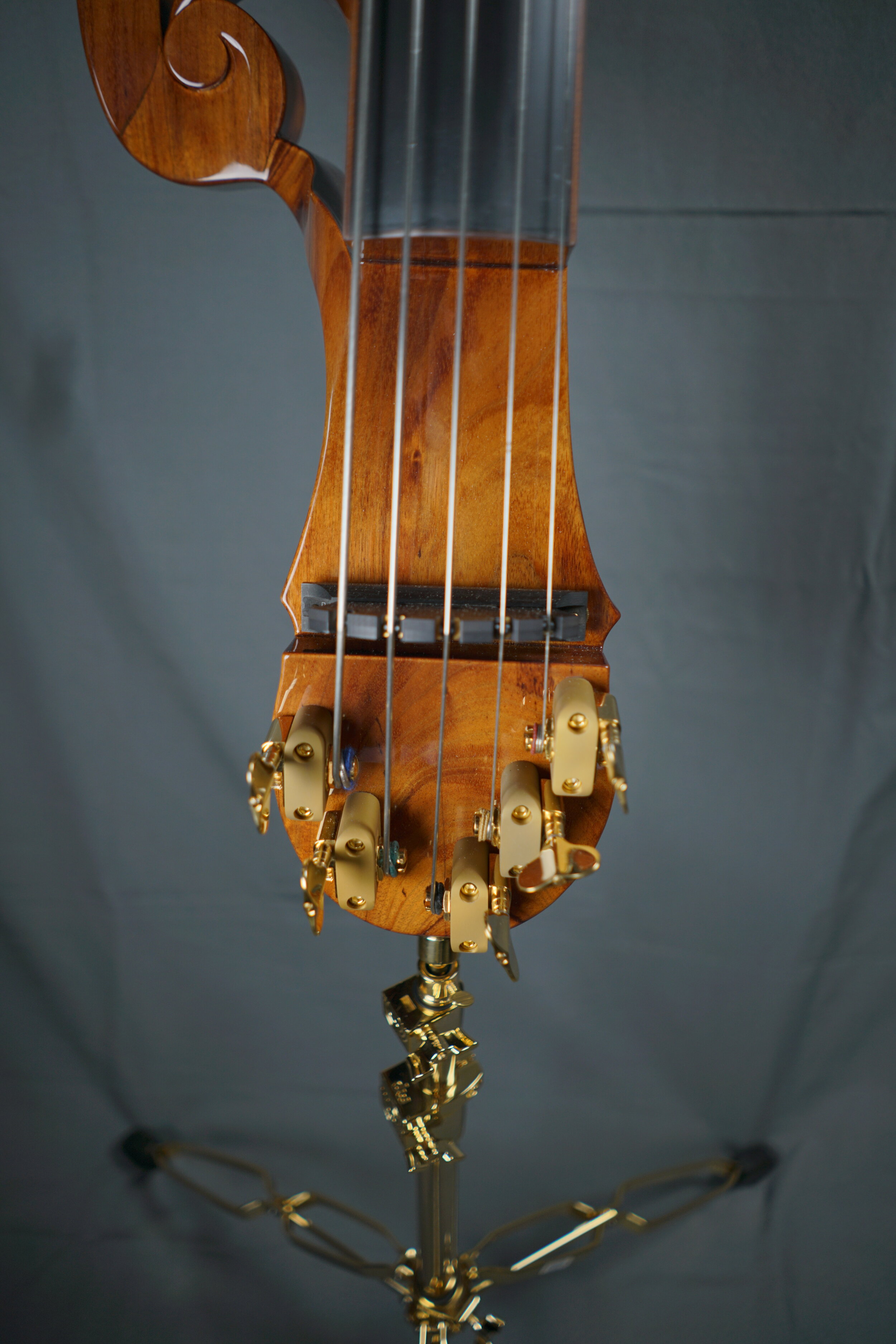 5 String Bass