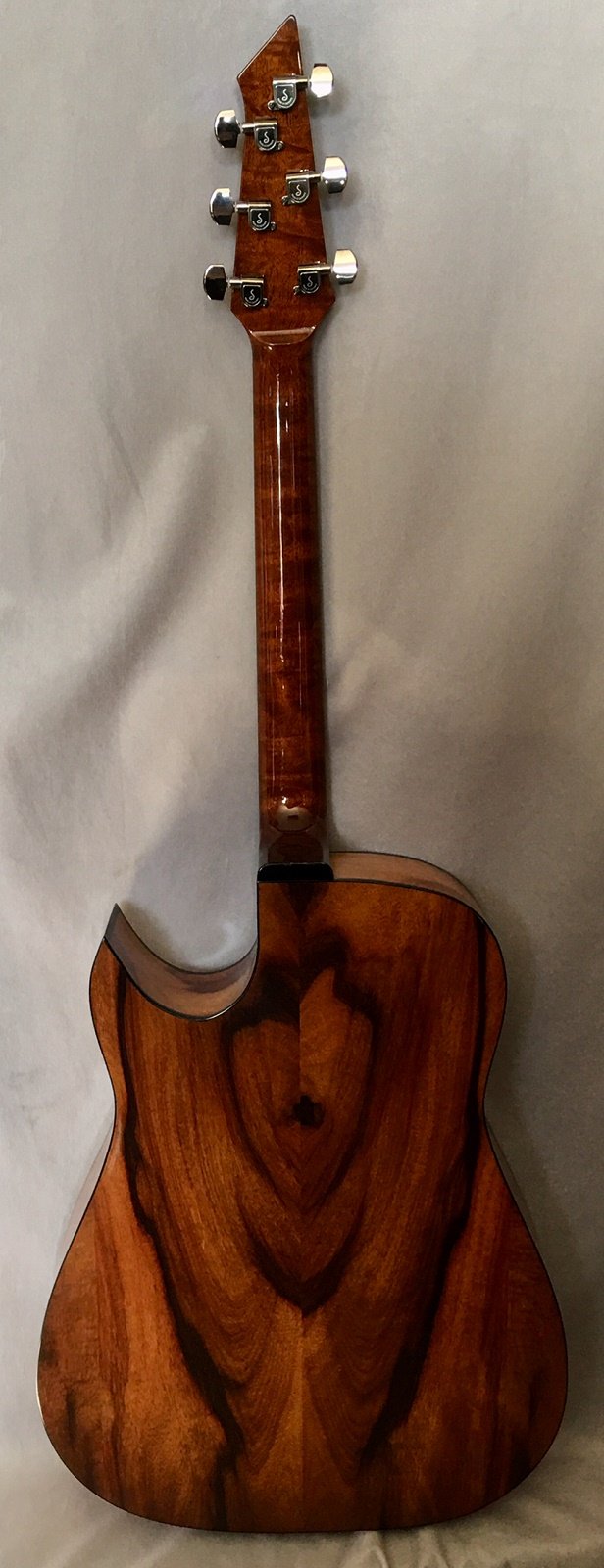 Jordan Cutaway Acoustic Granadillo Back  and The Tree mahogany neck smaller file.jpg
