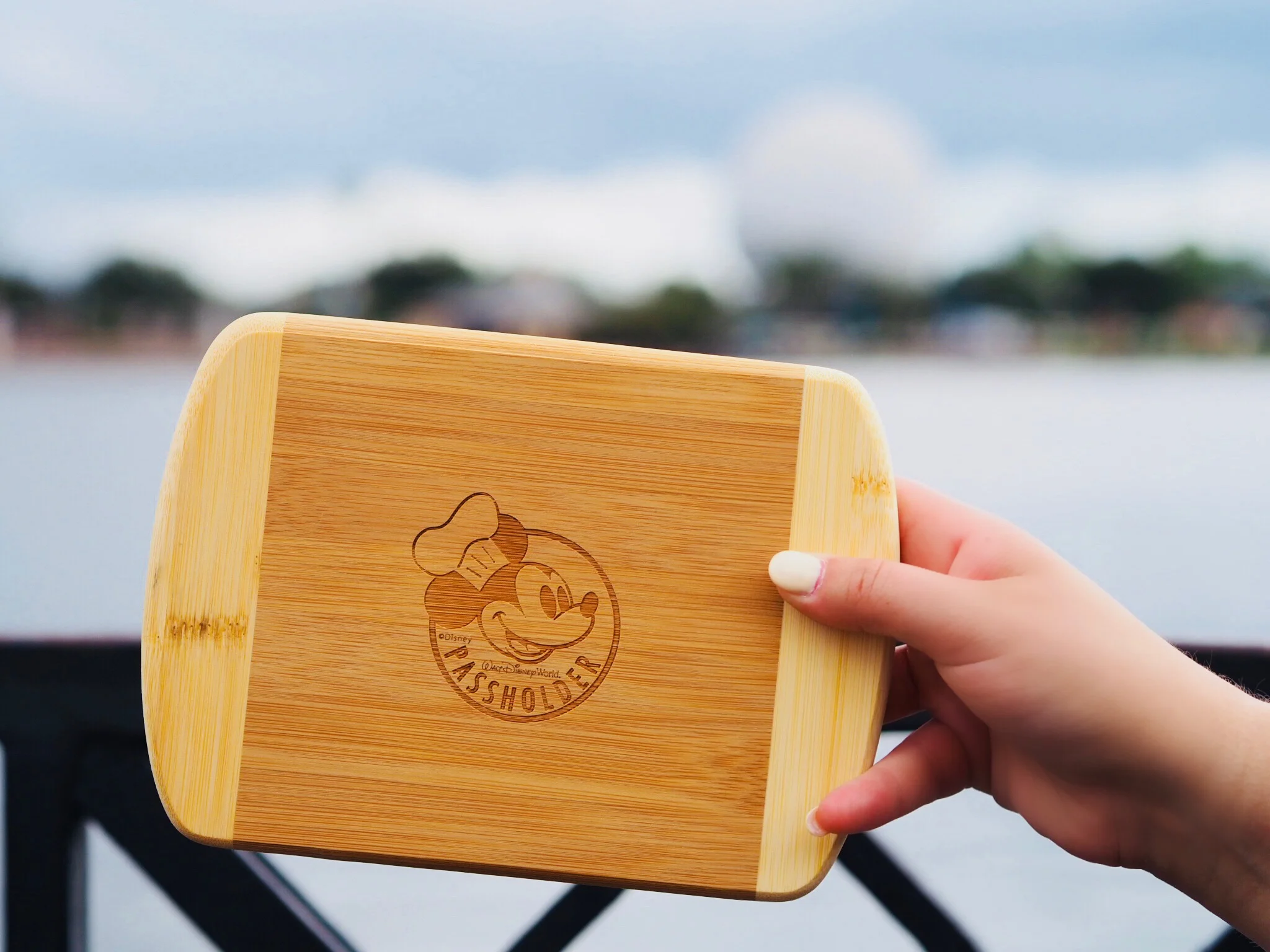 Favs From The Fest: 2018 EPCOT International Food & Wine Festival Favorites...PART 1