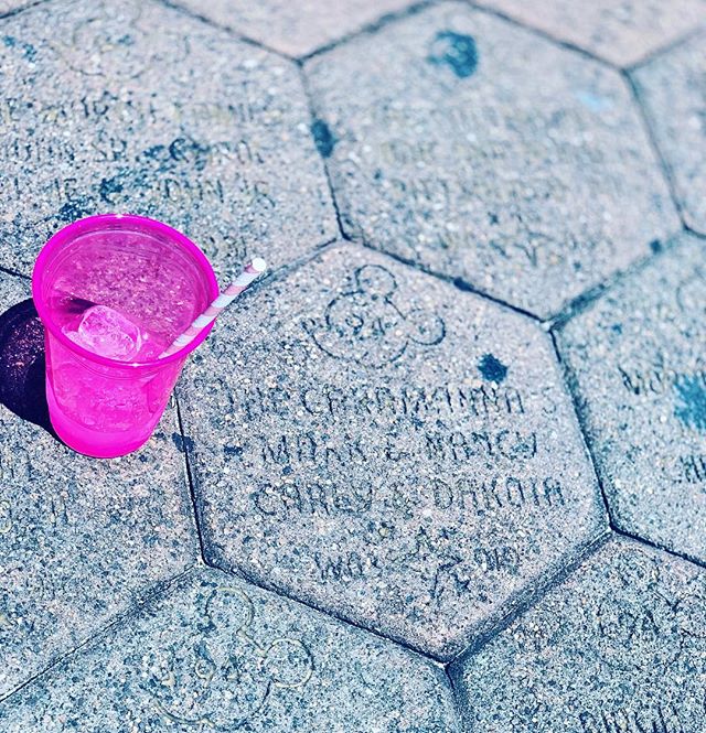 Saying goodbye to the family stone at the entrance to Magic Kingdom. So many emotions!