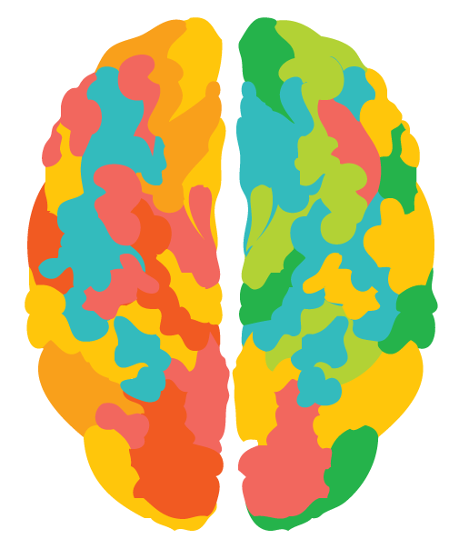 brain.png